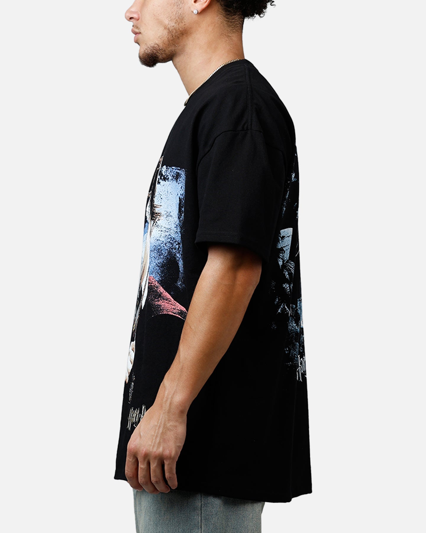 Goat Crew X Harry Potter Poster Vintage T-Shirt Black Acidwash