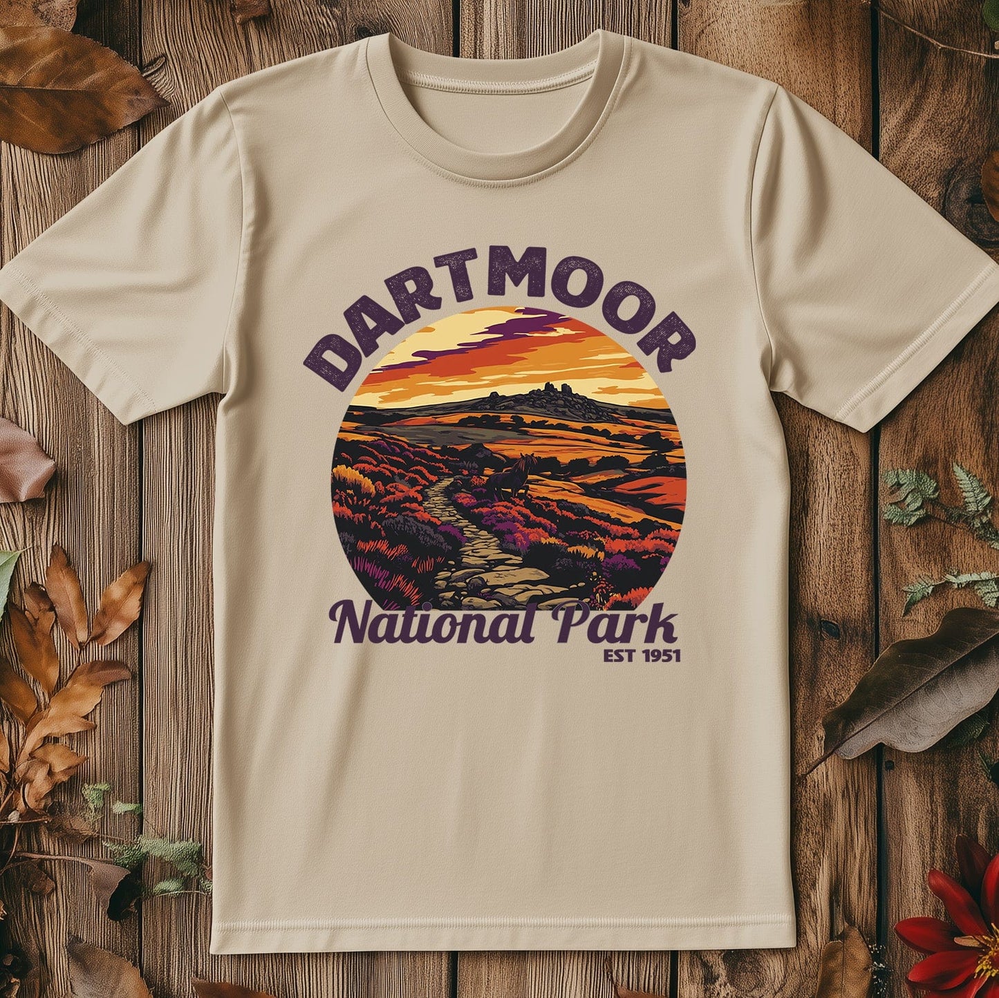 Dartmoor V4 T-Shirt