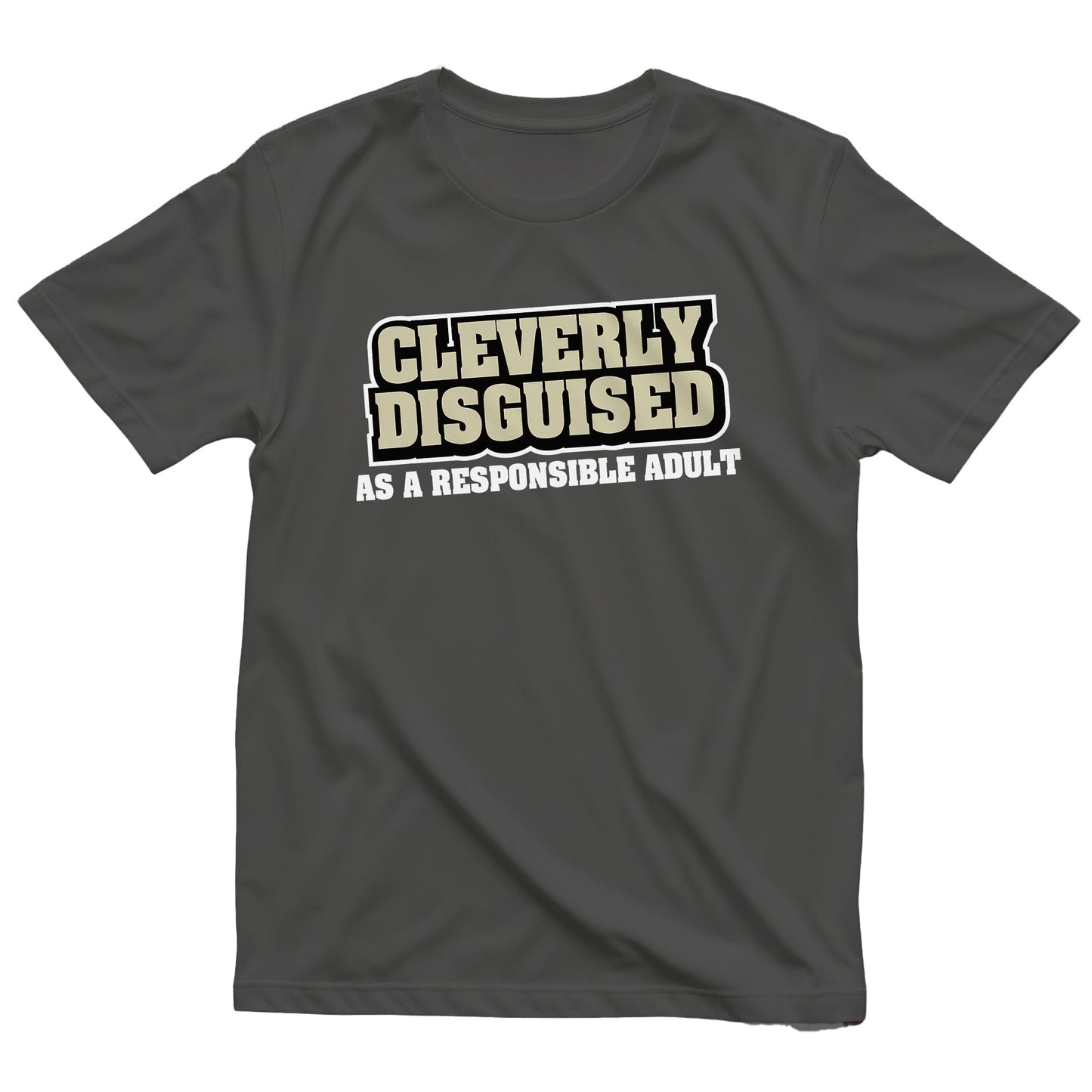 Responsible Adult 1 T-shirt