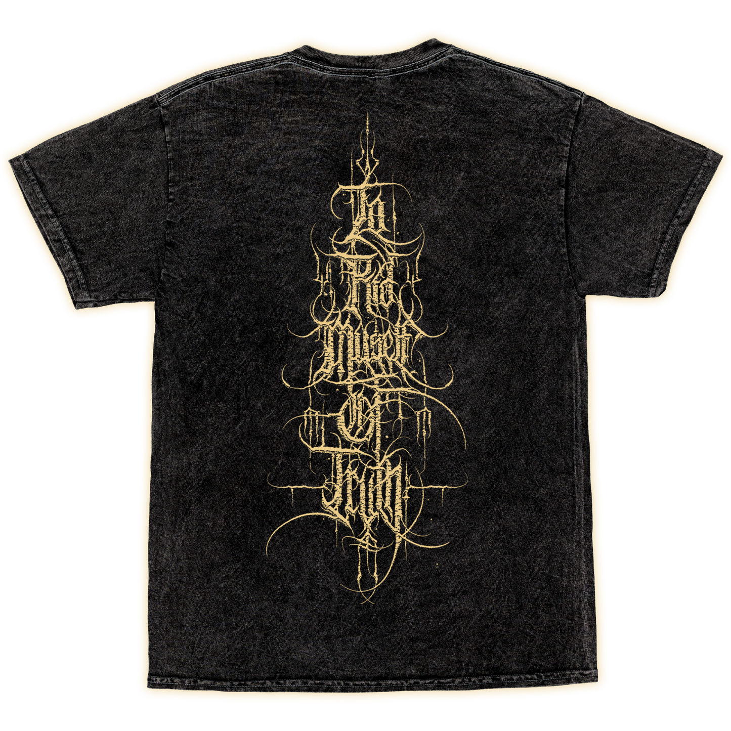 Signs of the Swarm "'To Rid Myself of Truth' Vintage Style/Mineral Wash" T-Shirt
