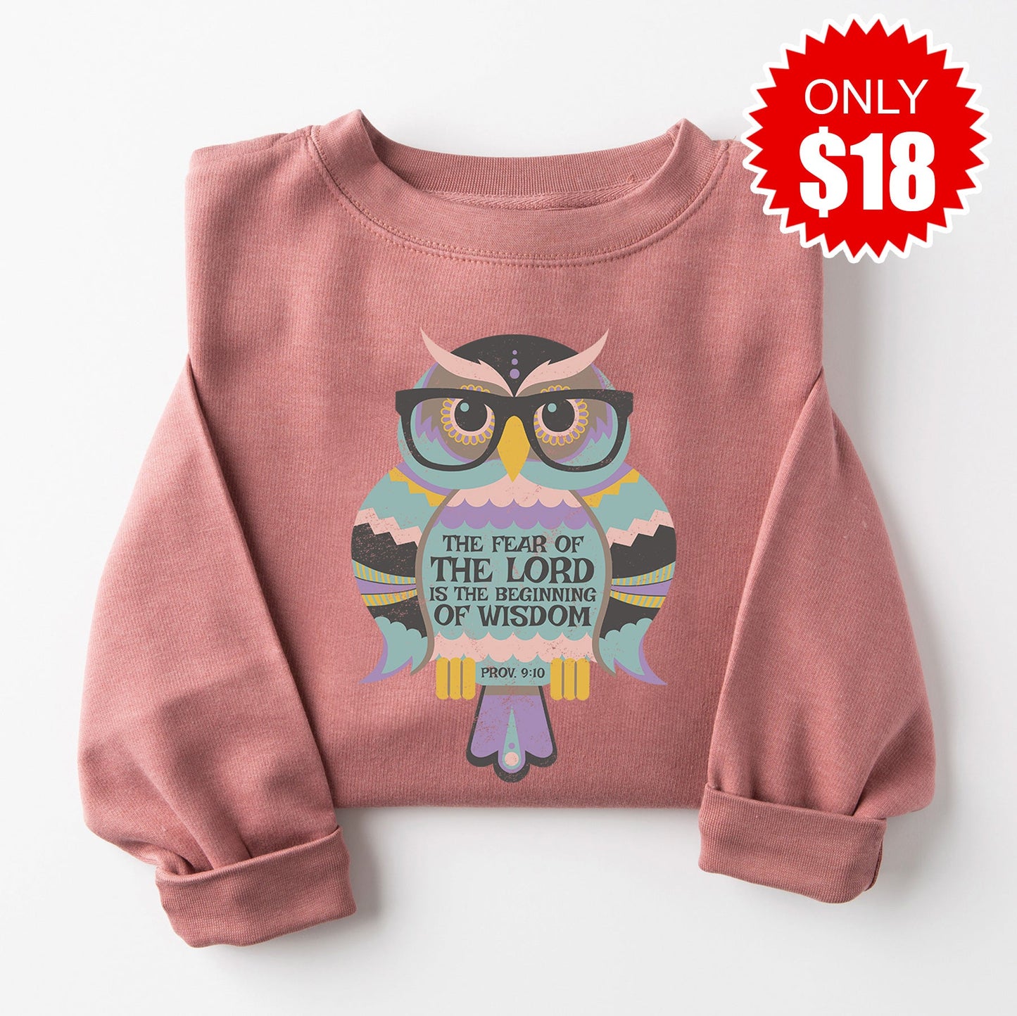Wisdom Owl Sweatshirt - Heather Mauve - 18
