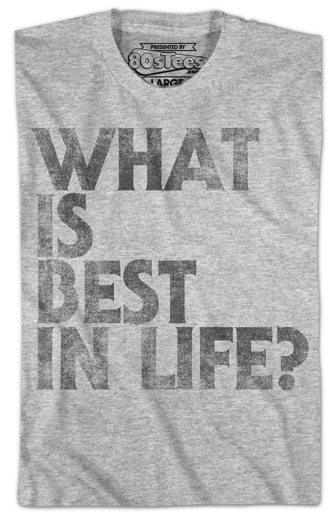 Distressed What Is Best In Life Conan The Barbarian T-Shirt