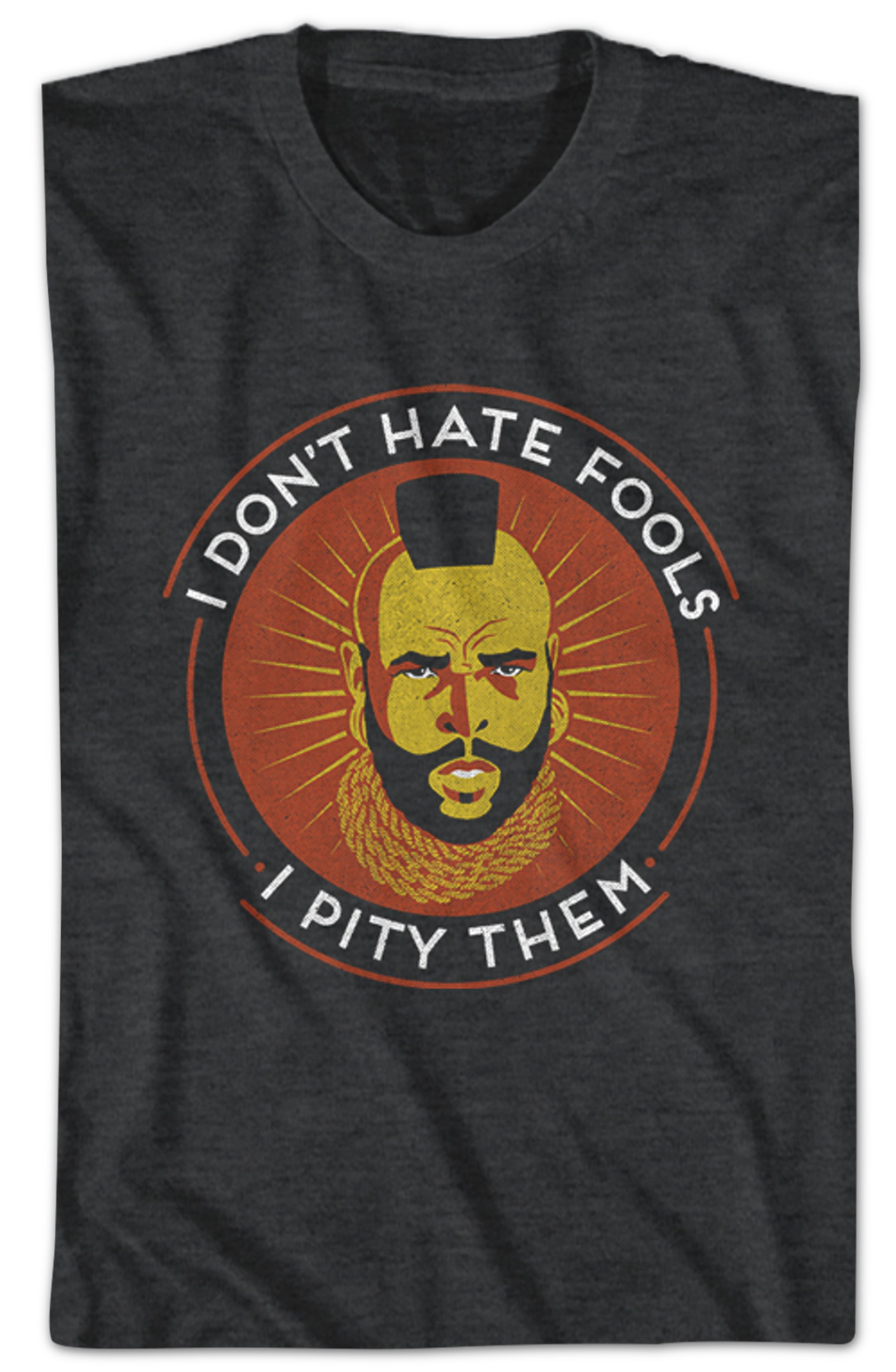Don't Hate Fools Mr. T Shirt