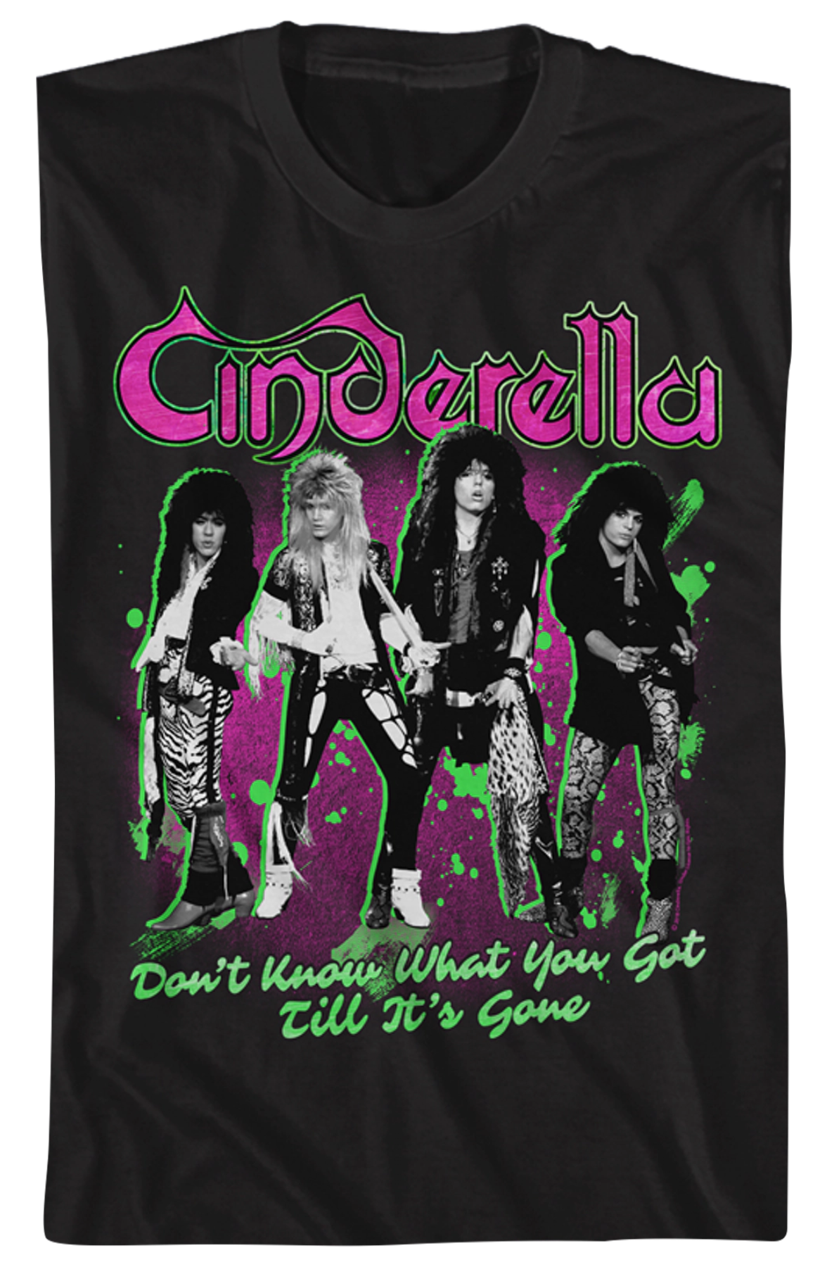 Don't Know What You Got Till It's Gone Cinderella T-Shirt