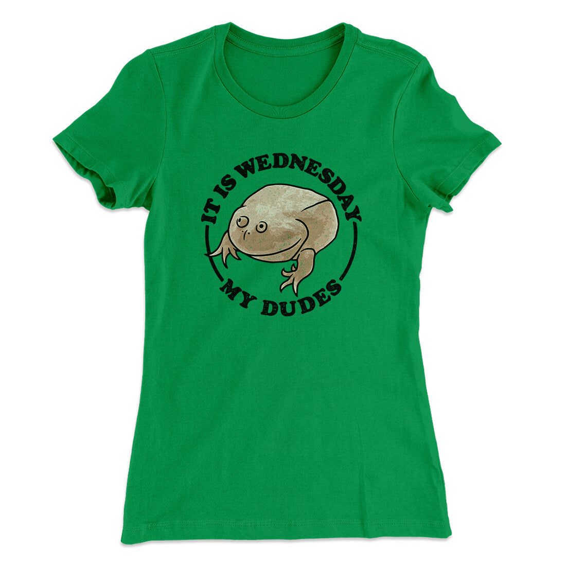 It Is Wednesday My Dudes Women's T-Shirt
