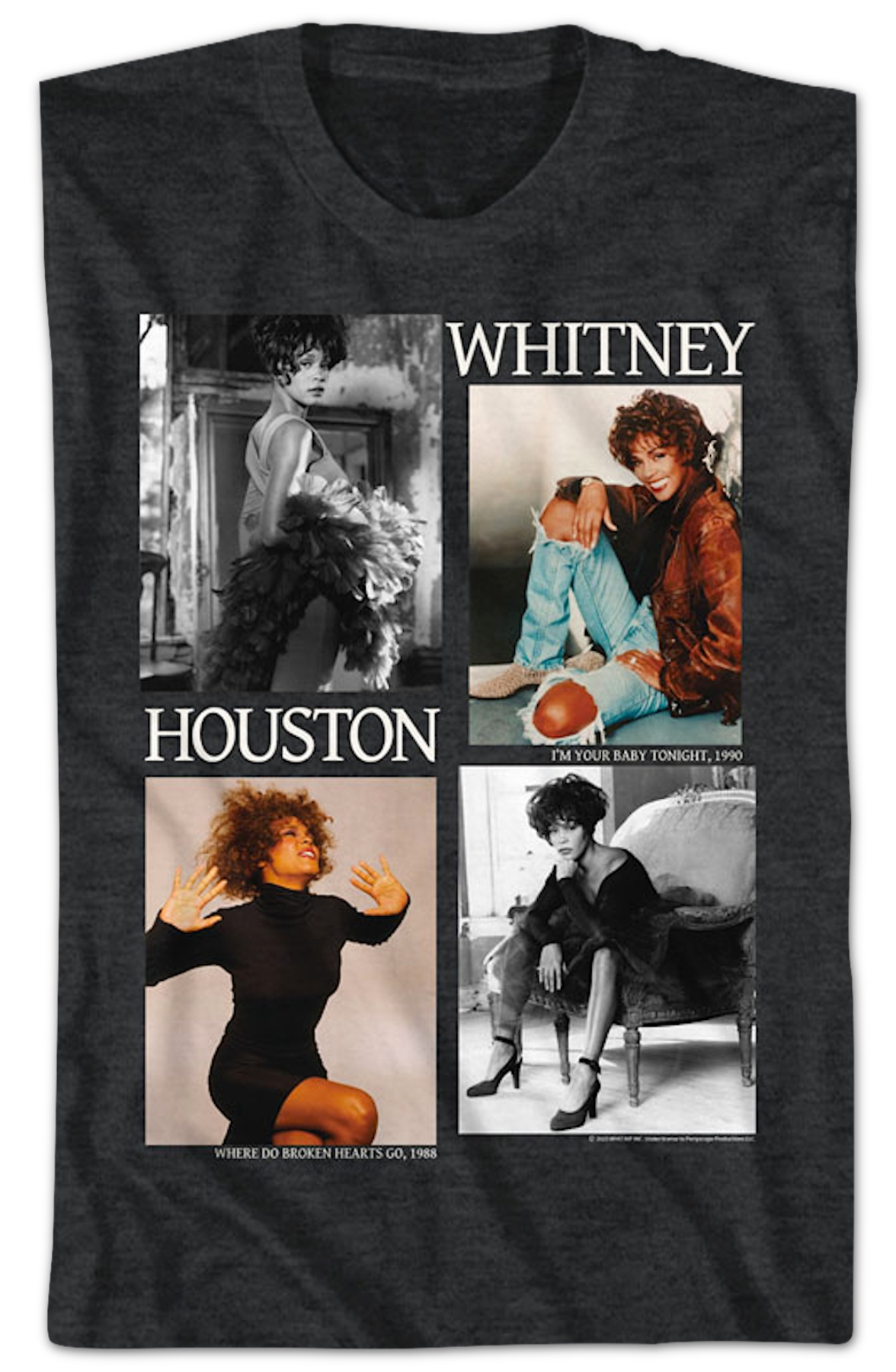 Picture Blocks Whitney Houston T-Shirt