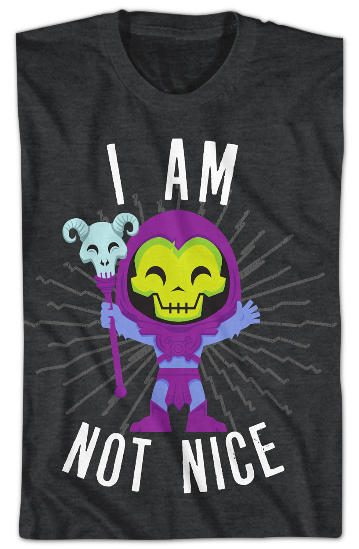 Skeletor I Am Not Nice Masters of the Universe T-Shirt