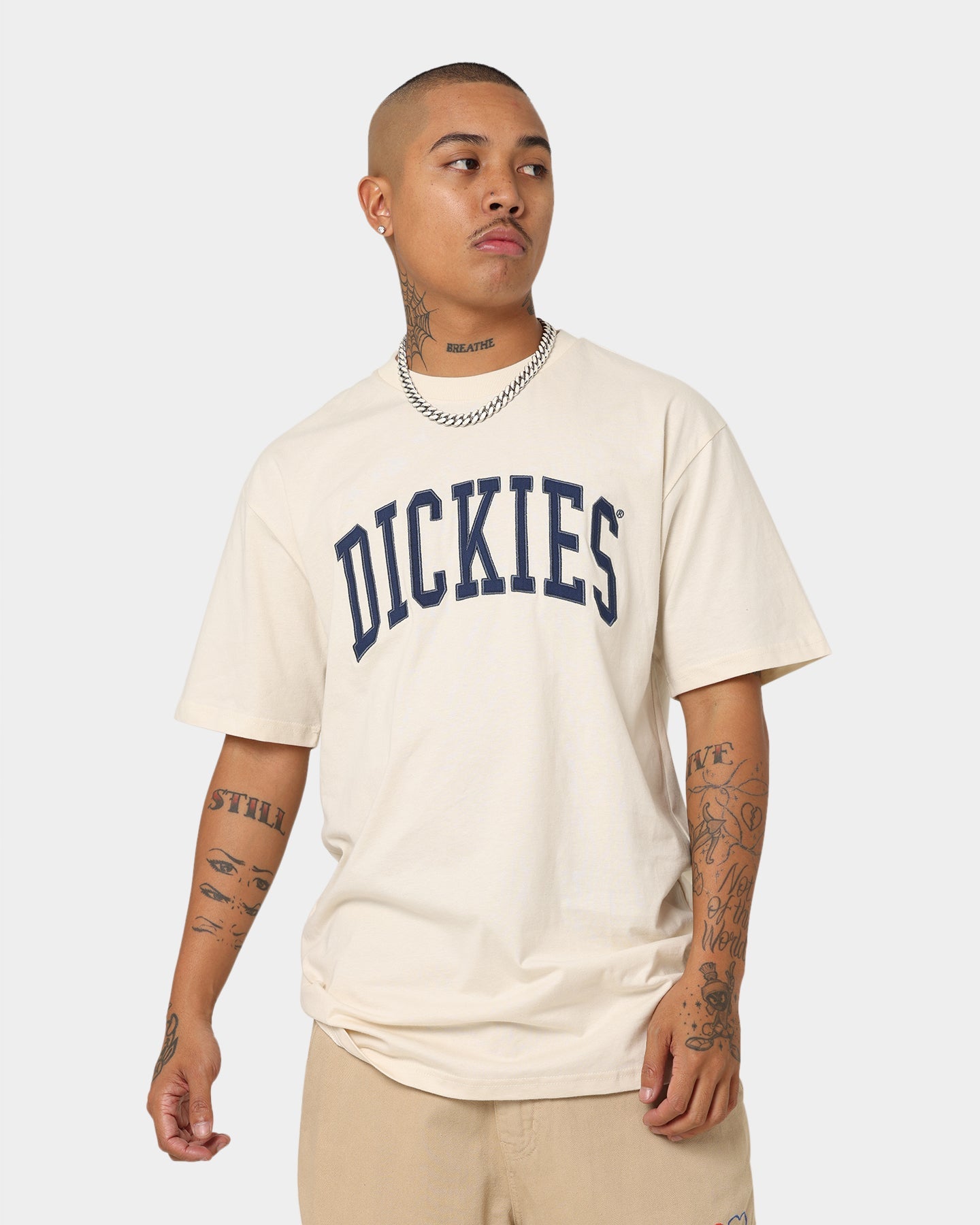 Dickies Men's Appletree T-Shirt Bone