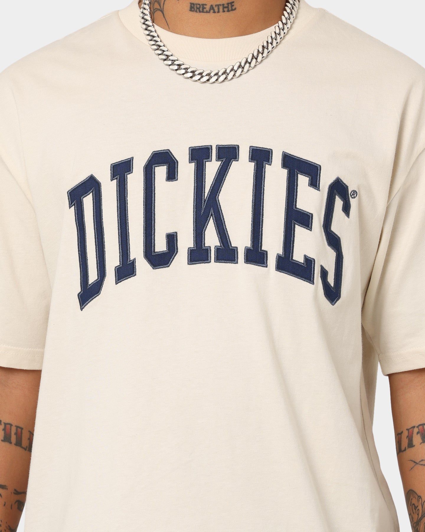 Dickies Men's Appletree T-Shirt Bone