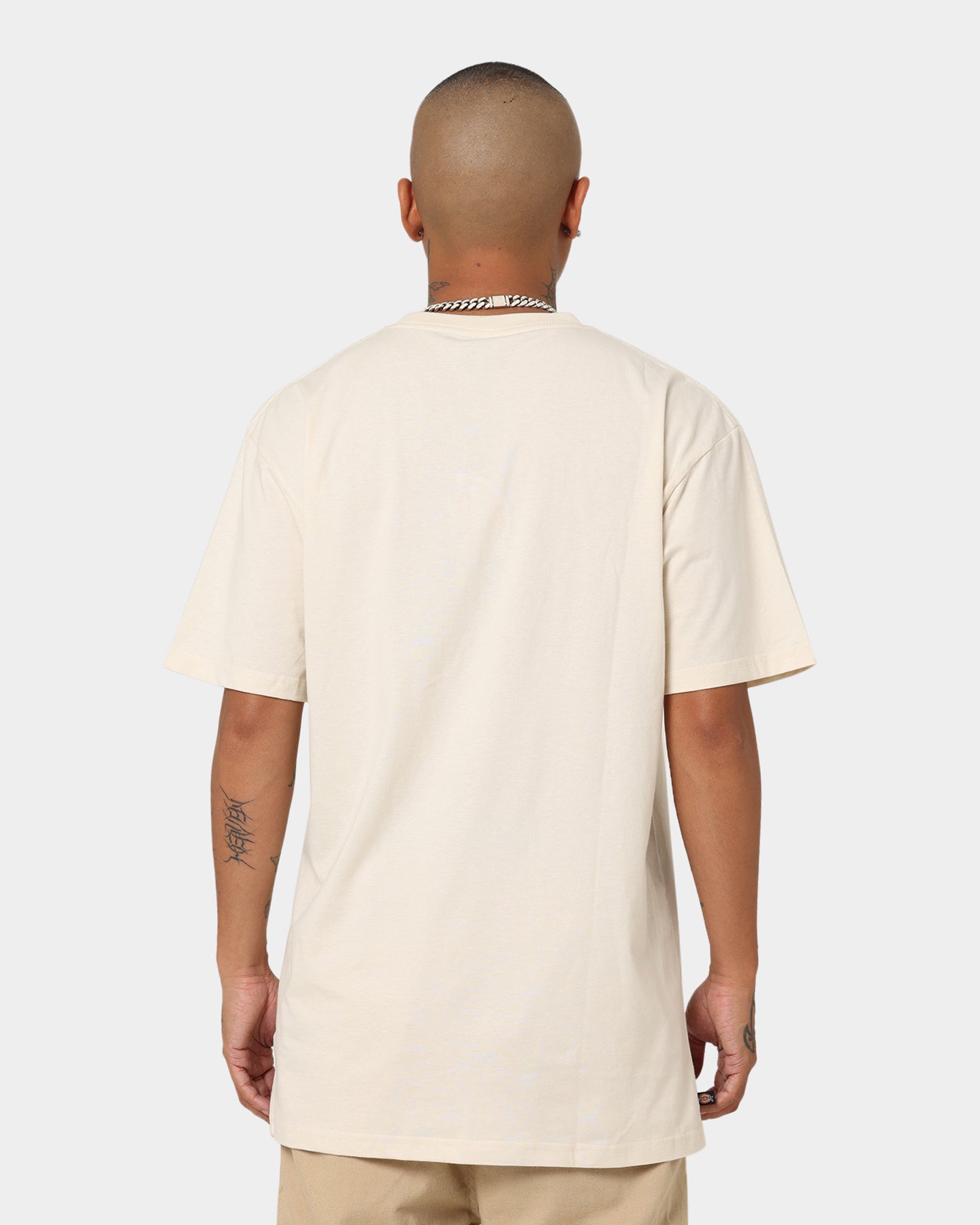 Dickies Men's Appletree T-Shirt Bone