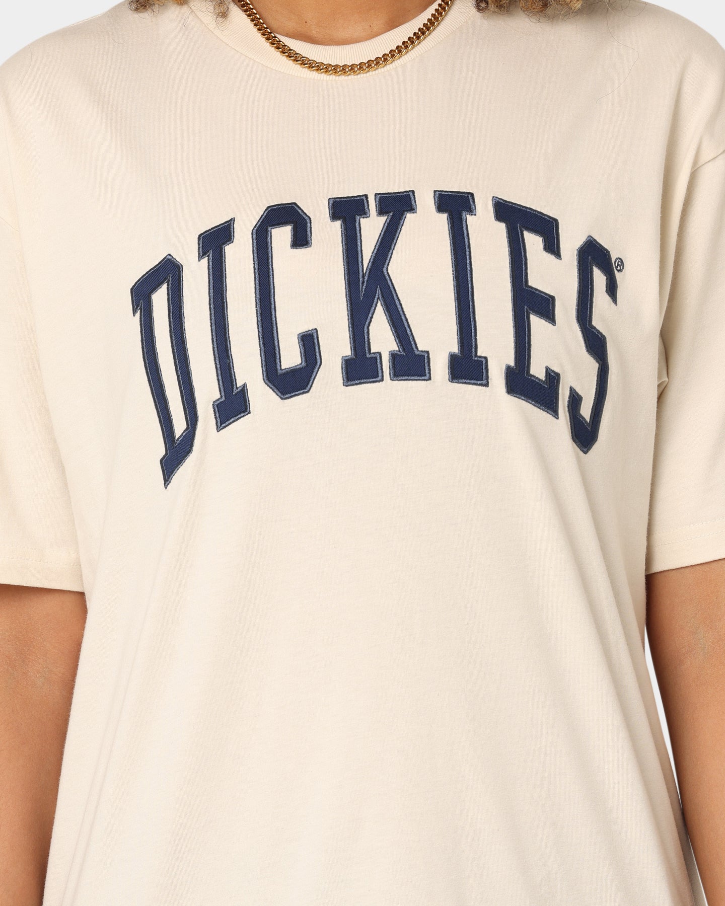 Dickies Men's Appletree T-Shirt Bone Style001
