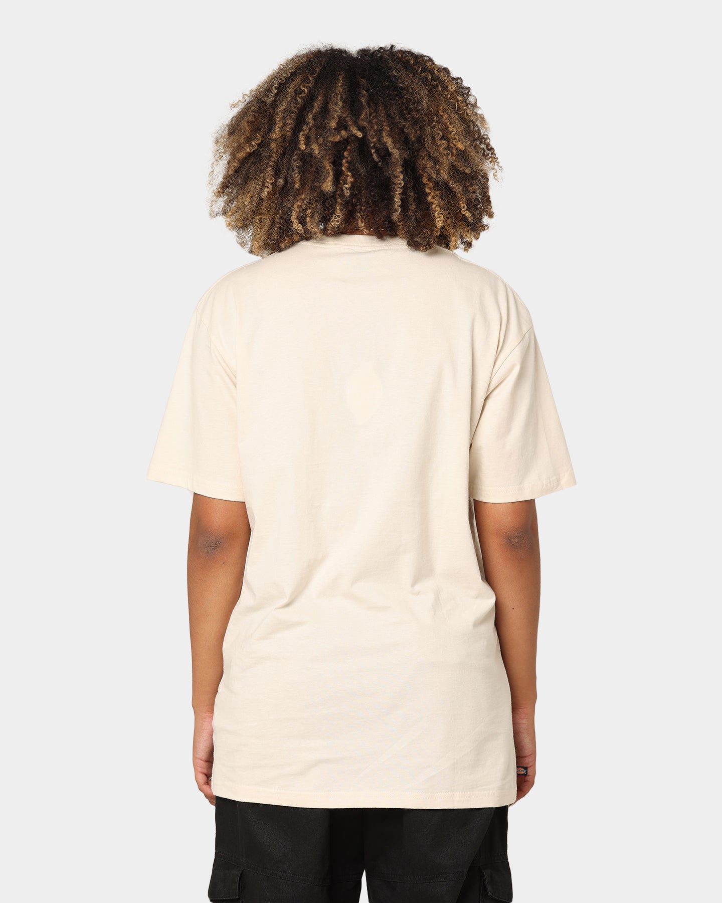 Dickies Men's Appletree T-Shirt Bone Style001
