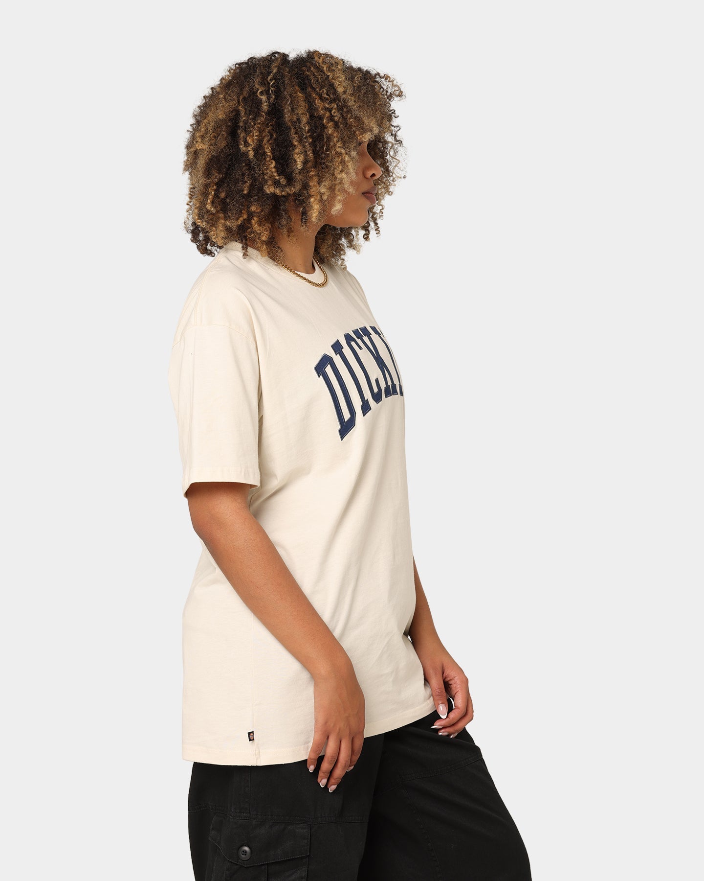 Dickies Men's Appletree T-Shirt Bone Style001
