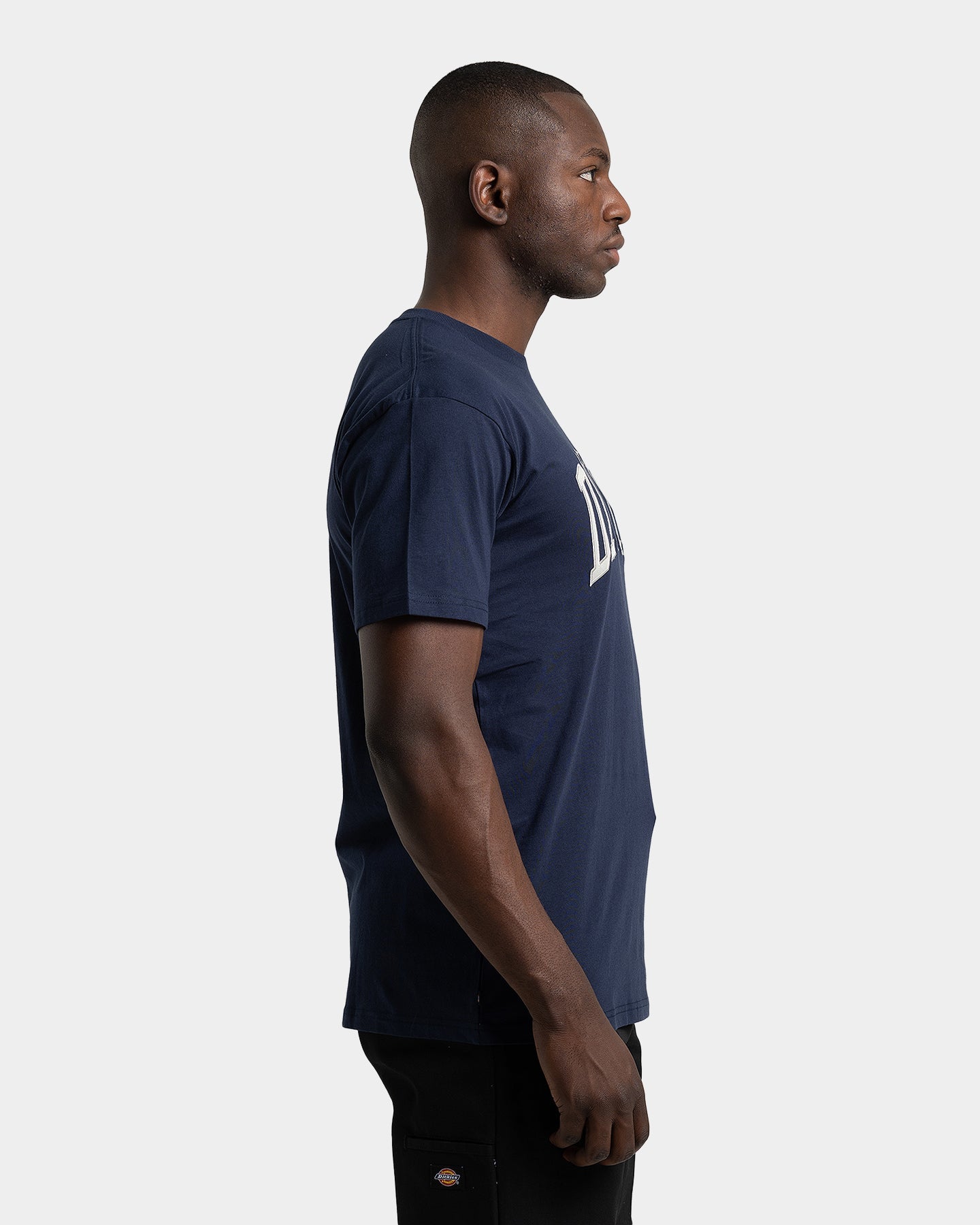 Dickies Men's Appletree T-Shirt Midnight