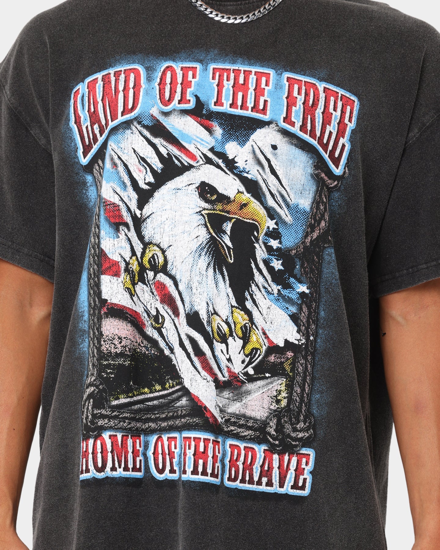 American Thrift Land Of The Free Vintage T-Shirt Black Wash