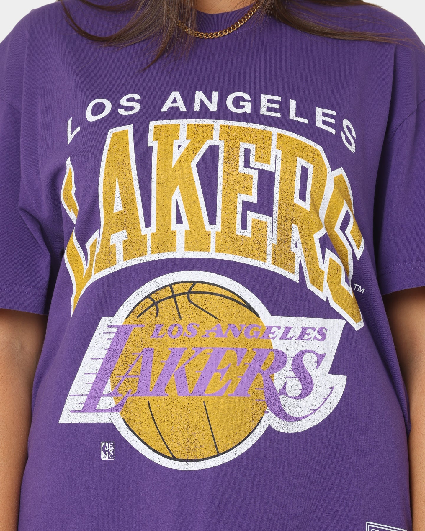 Mitchell & Ness Los Angeles Lakers XL Arch Vintage T-Shirt Faded Purple Style001