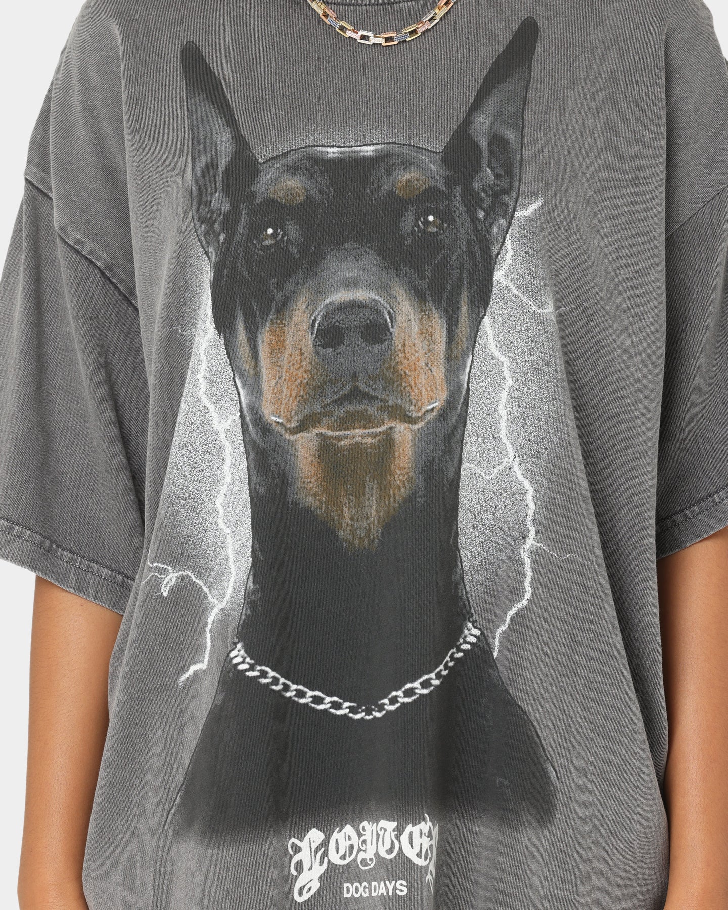 Loiter Dog Days T-Shirt Charcoal Style001