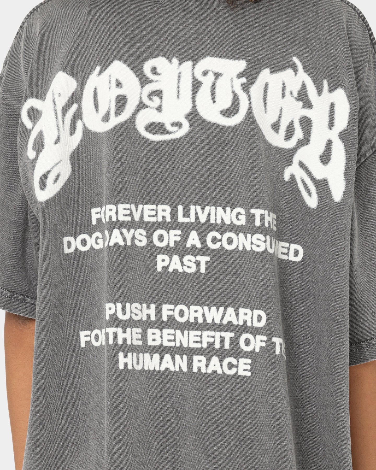 Loiter Dog Days T-Shirt Charcoal Style001
