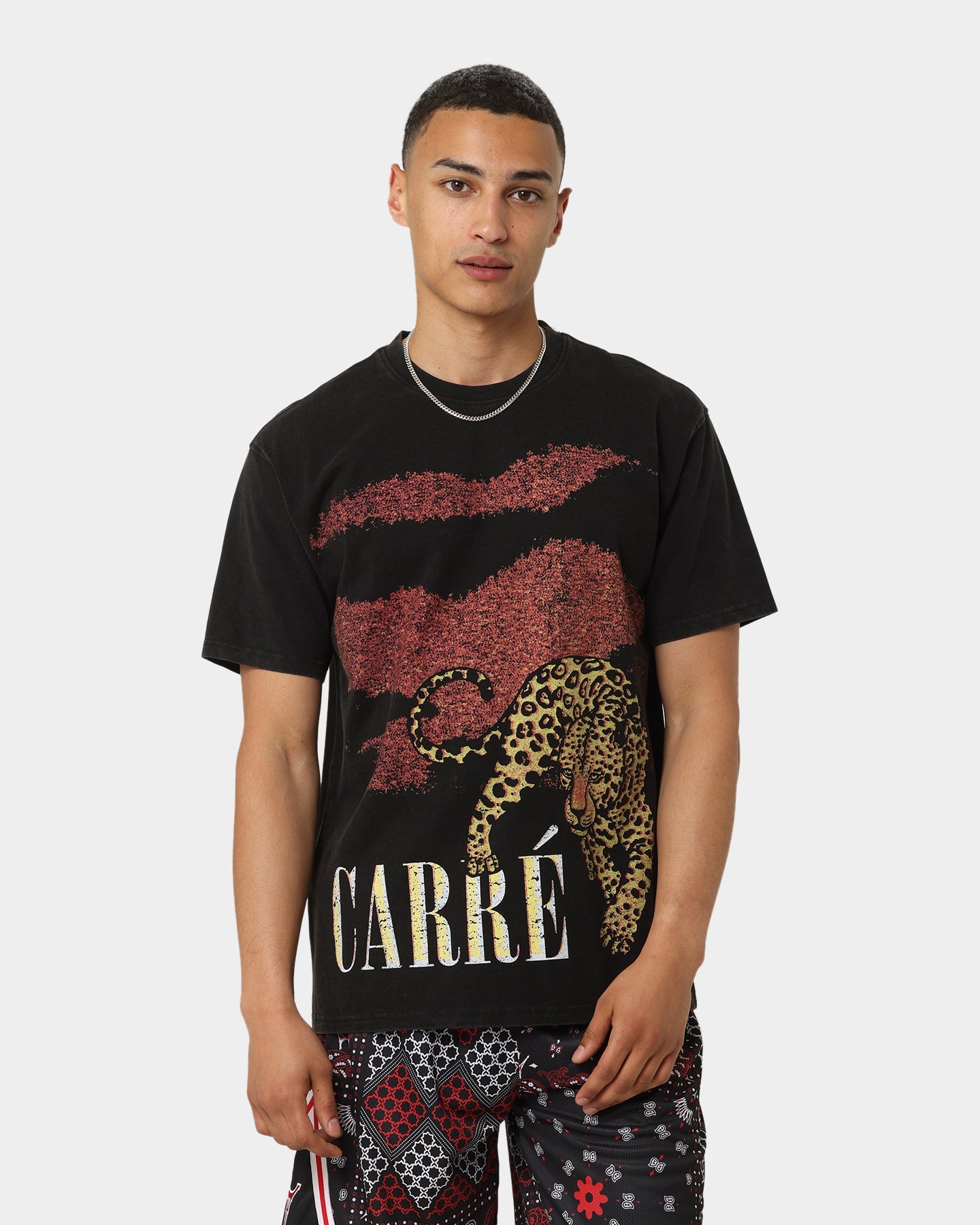 Carr√© Leo Vintage T-Shirt Washed Black
