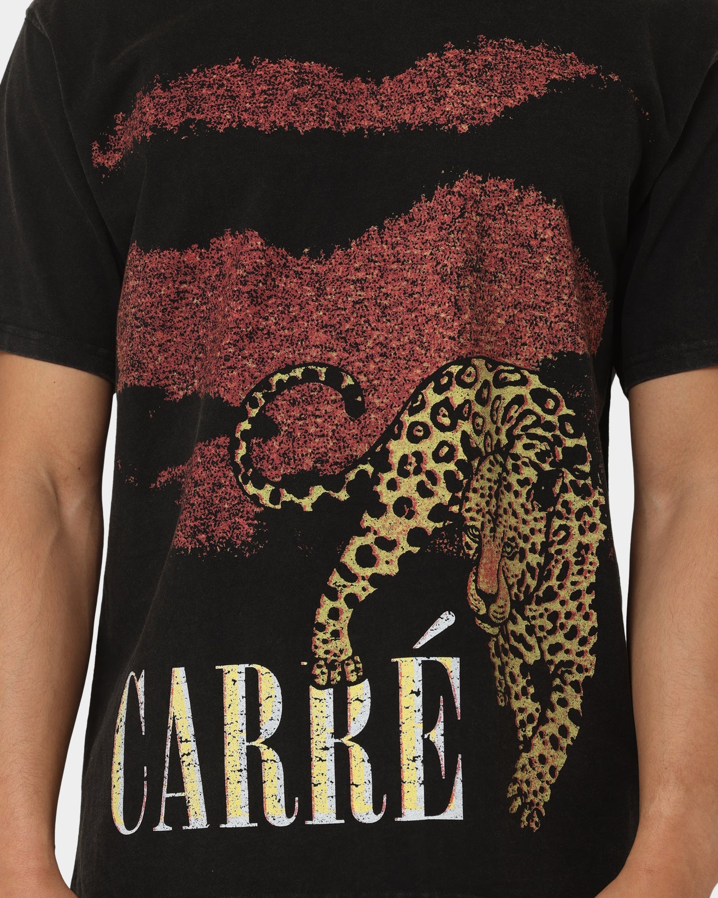 Carr√© Leo Vintage T-Shirt Washed Black