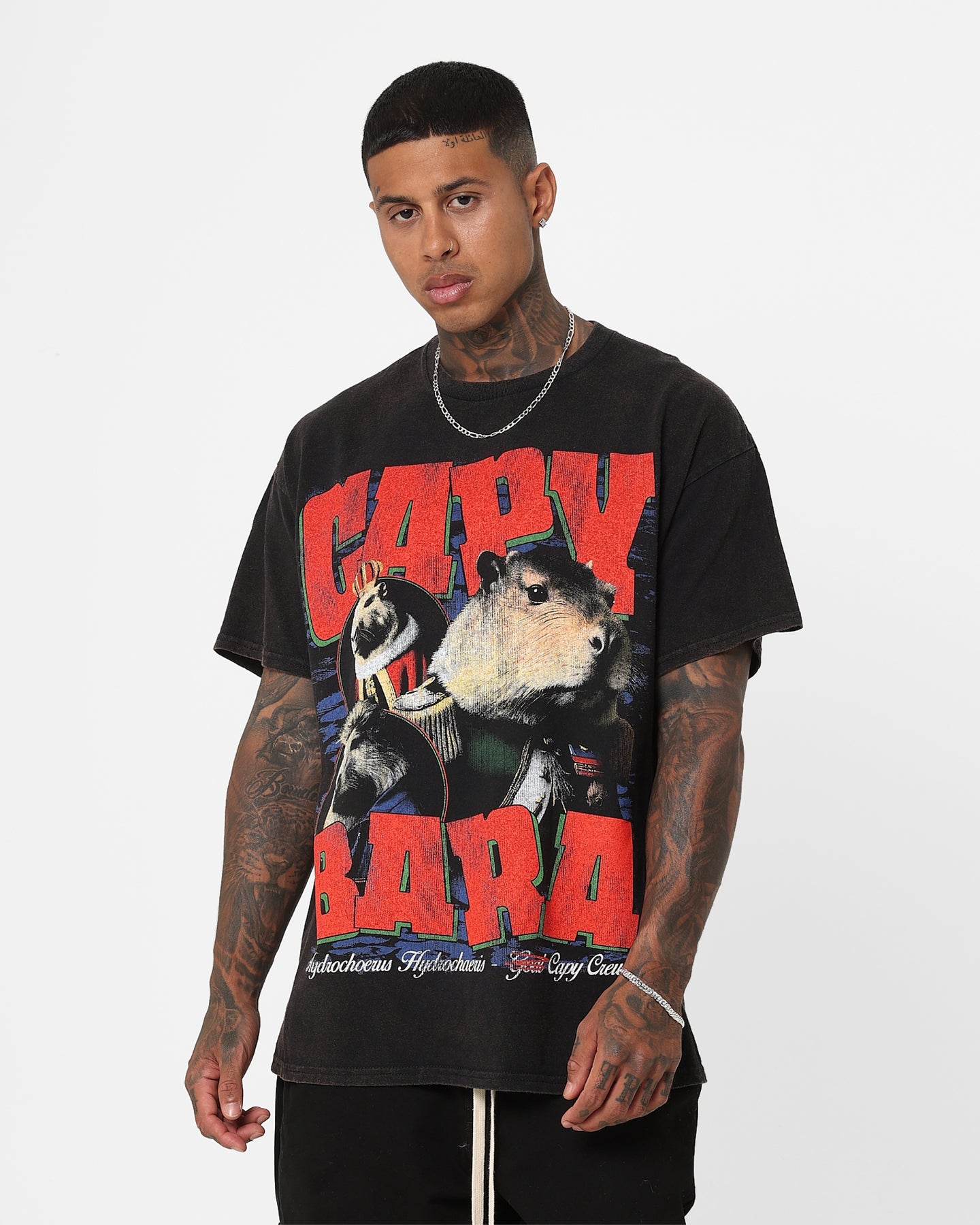 Goat Crew Capybara Vintage T-Shirt Black Wash