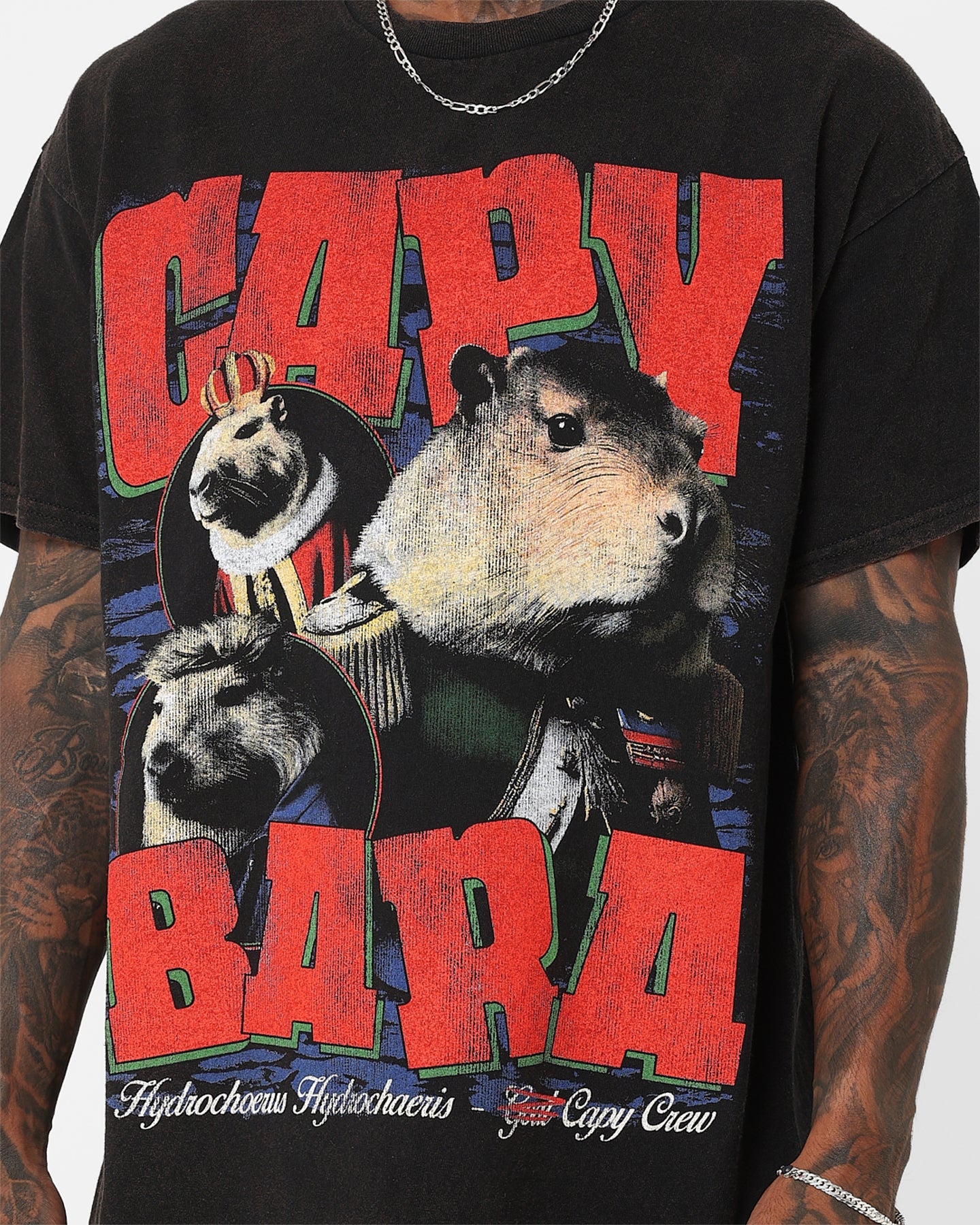 Goat Crew Capybara Vintage T-Shirt Black Wash