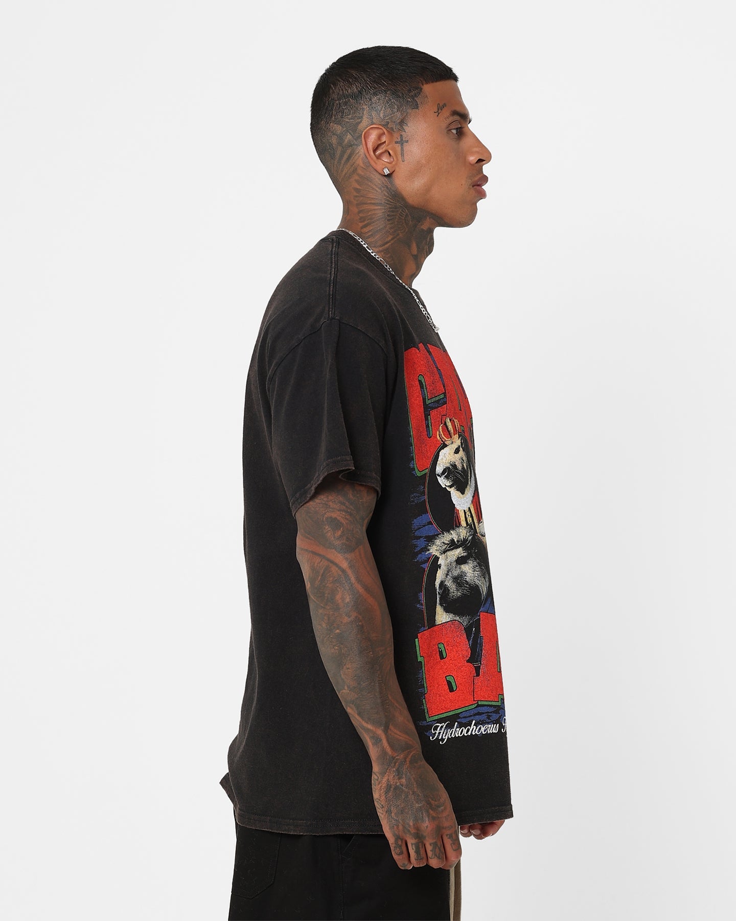 Goat Crew Capybara Vintage T-Shirt Black Wash