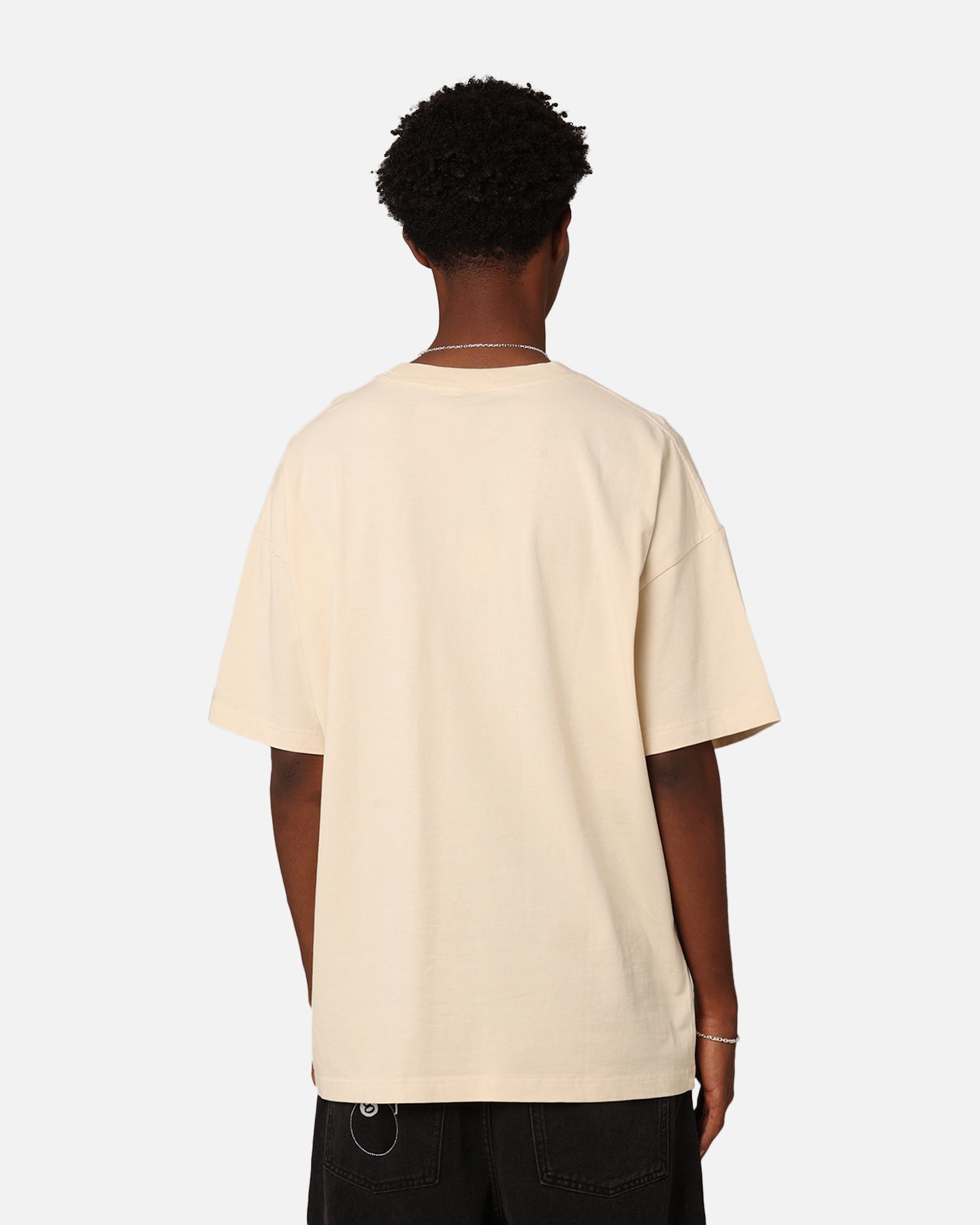 Dickies 330 Washed T-Shirt Bone