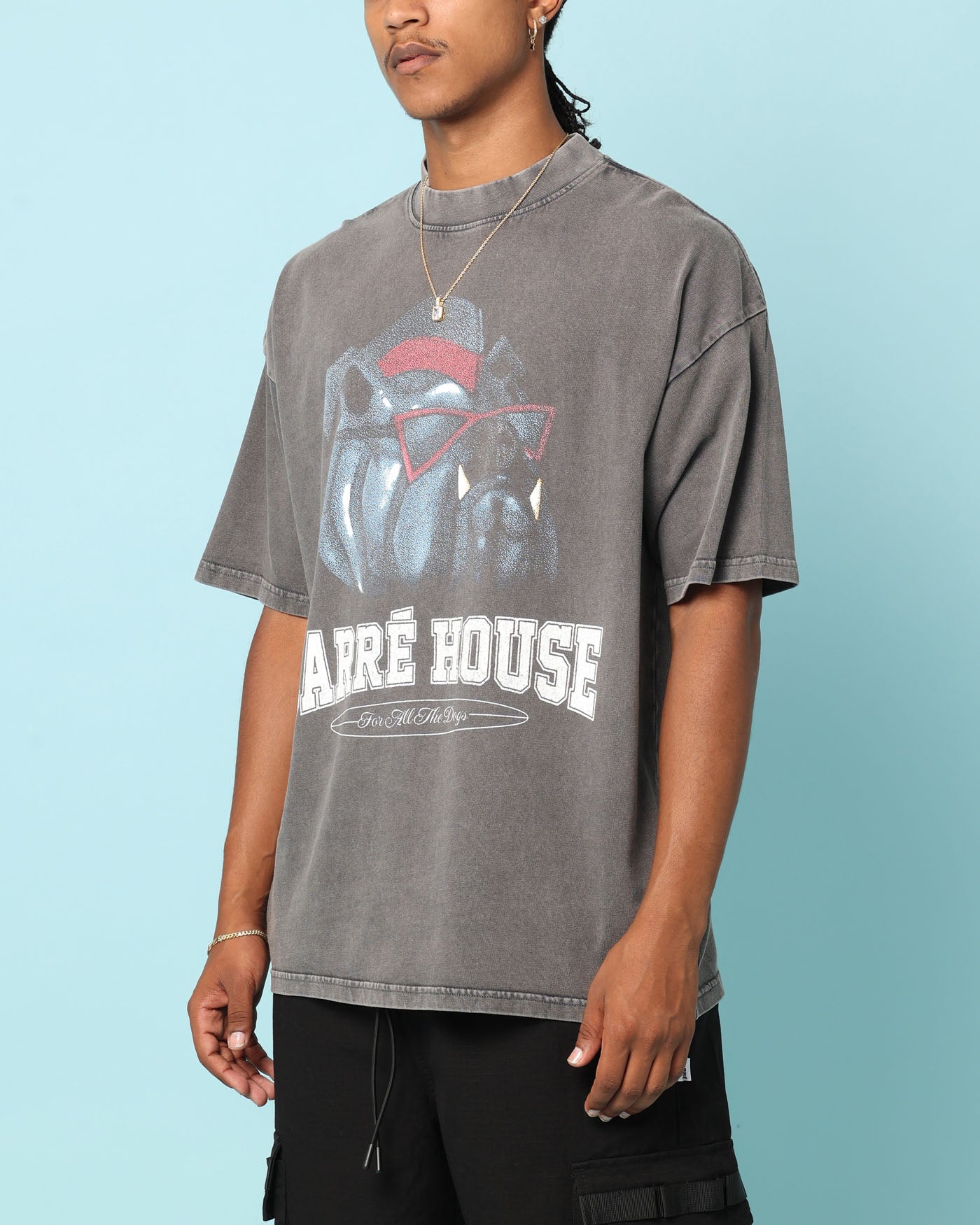 Carr√© Dog House T-Shirt Washed Charcoal