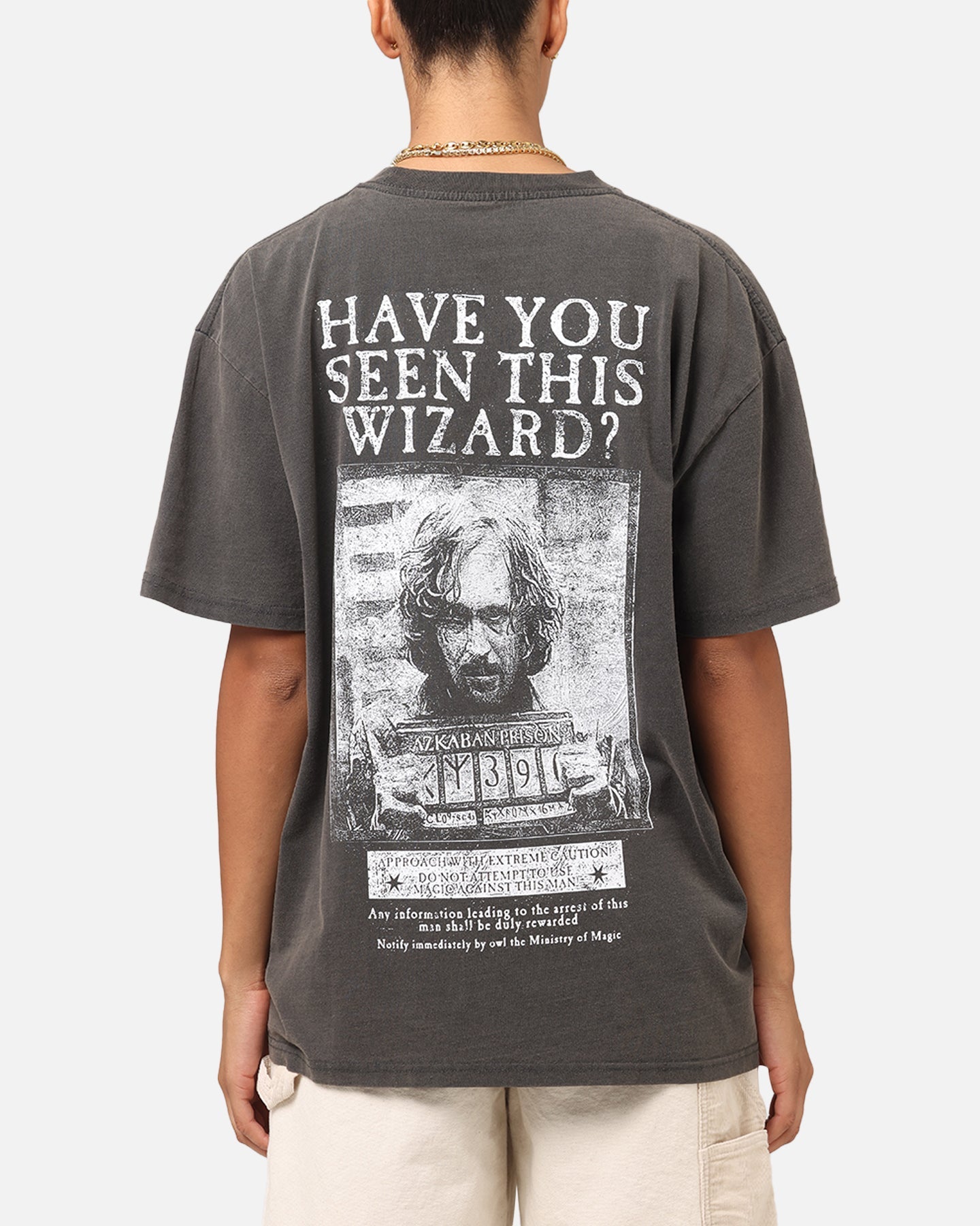 Goat Crew X Harry Potter Sirius Heavy T-Shirt Black Wash Style001