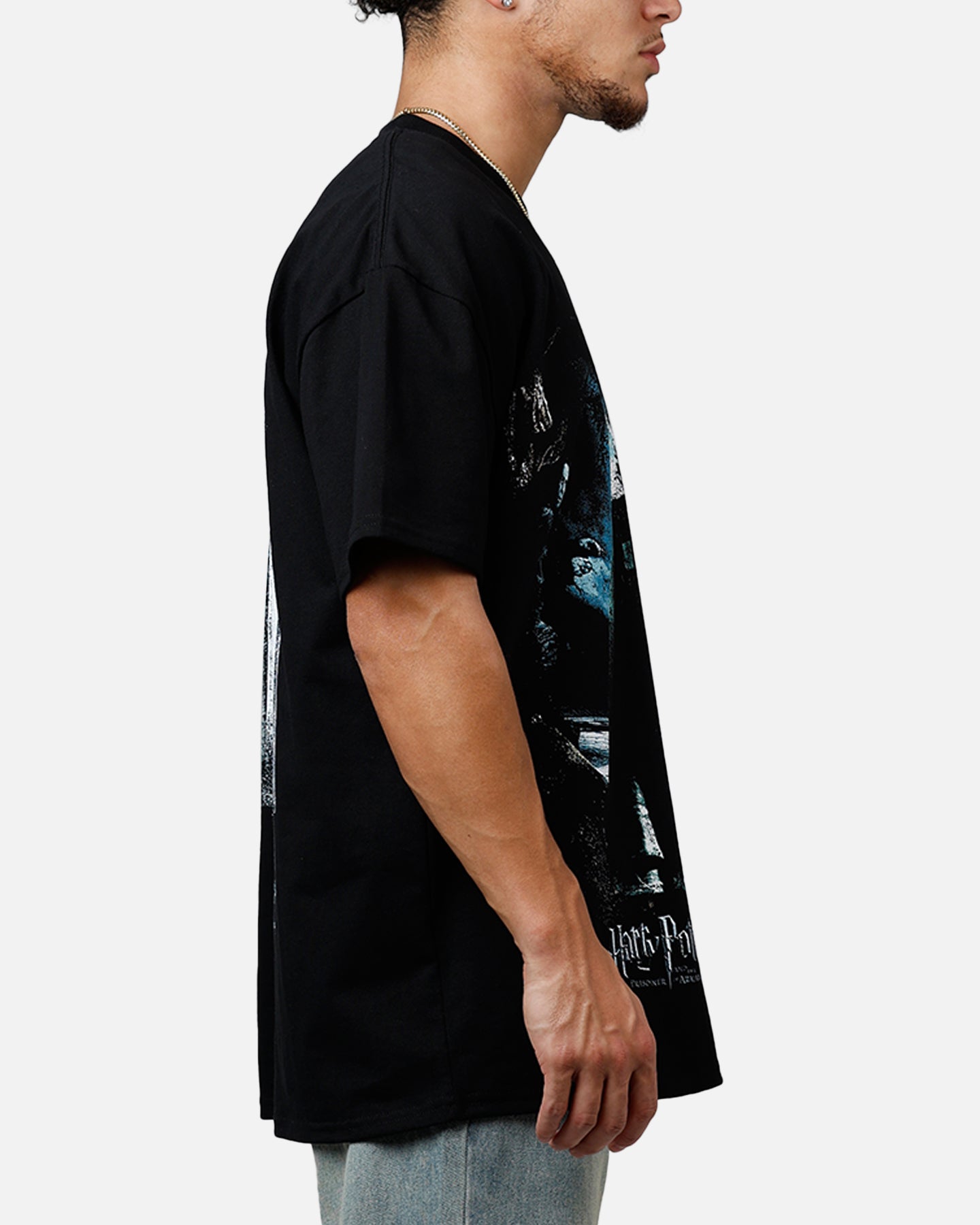 Goat Crew X Harry Potter Sirius Heavyweight T-Shirt Black