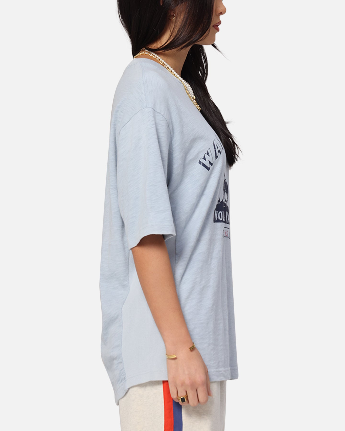 Champion RW Expansion T-Shirt Pale Blue Style001