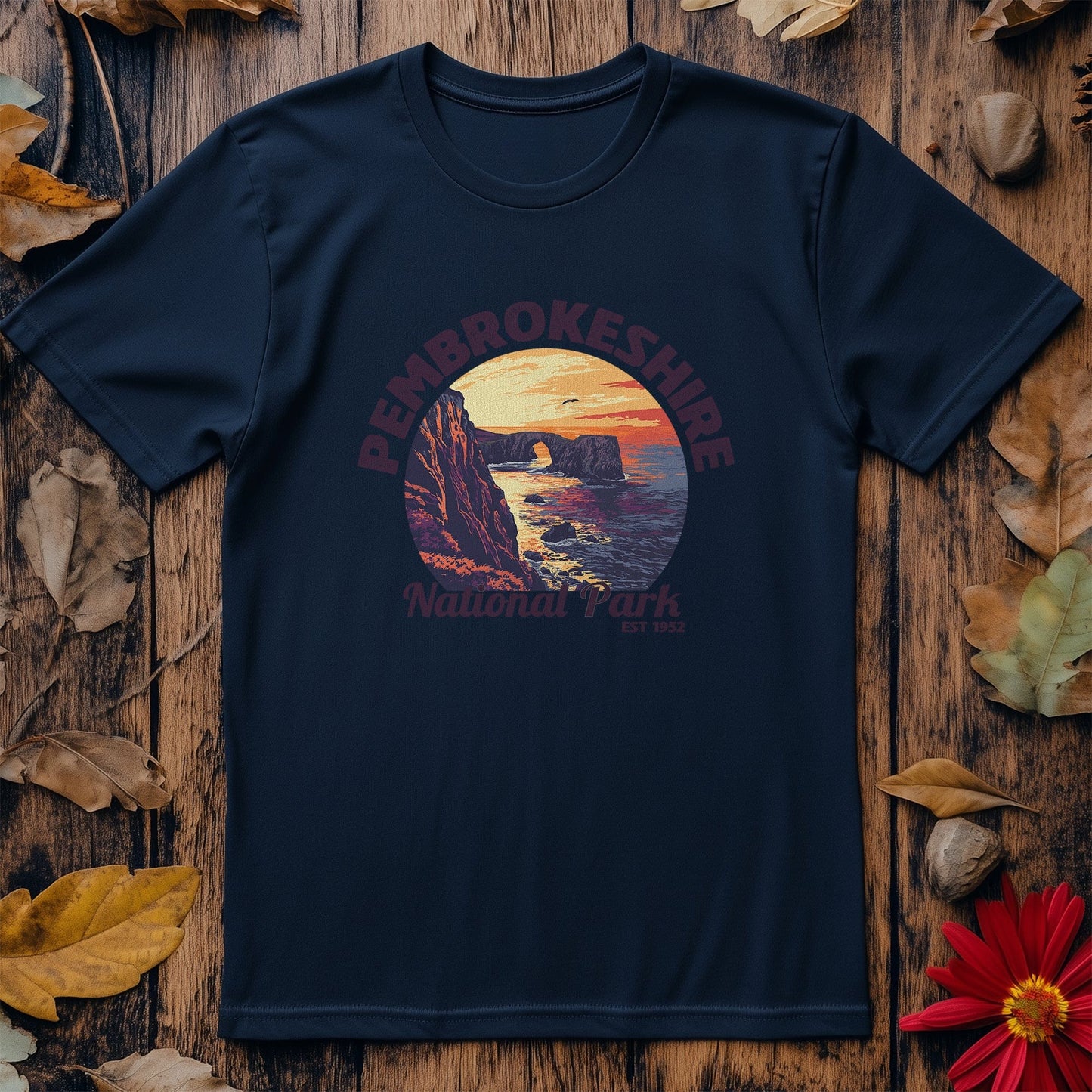 Pembrokeshire V4 T-Shirt