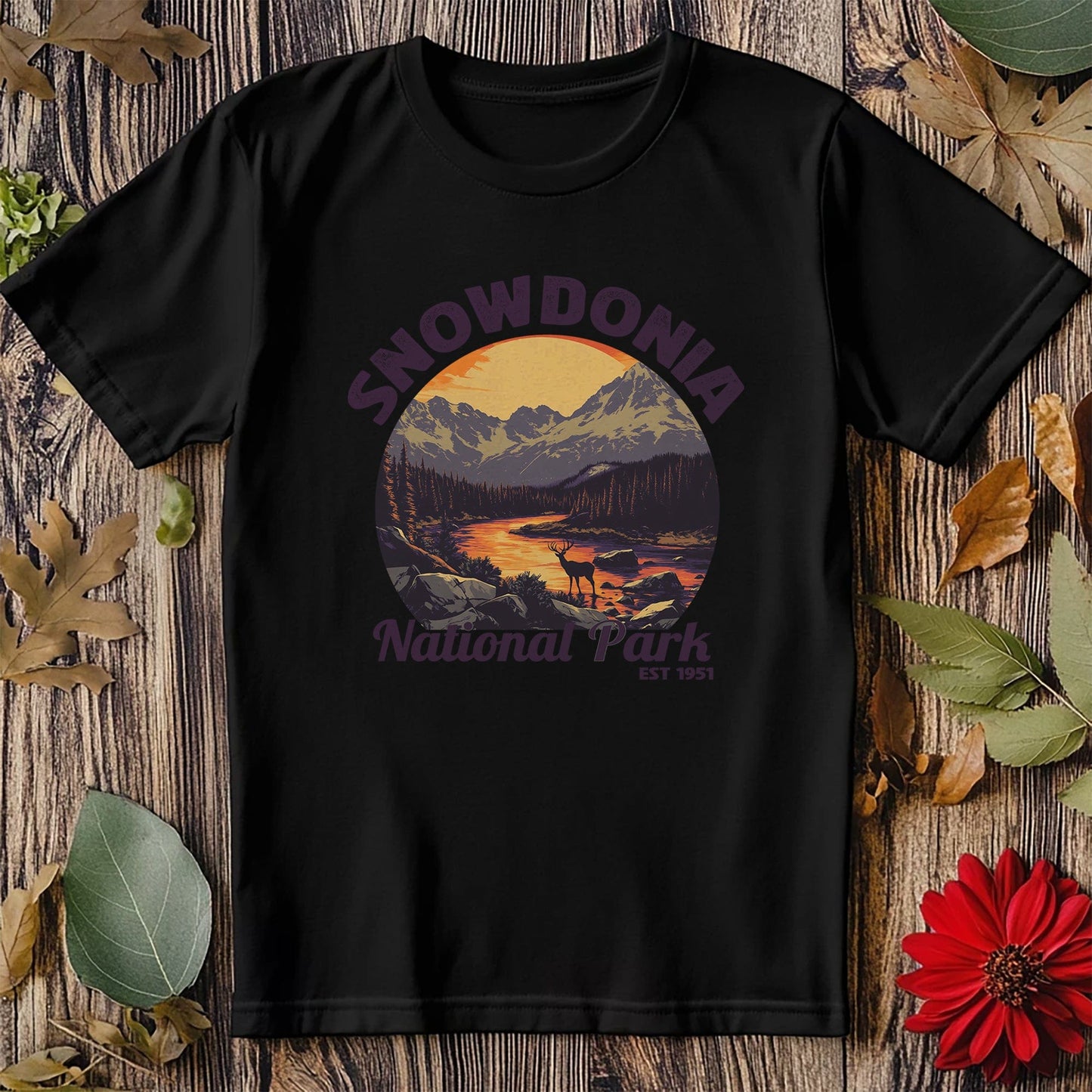 Snowdonia V4 T-Shirt