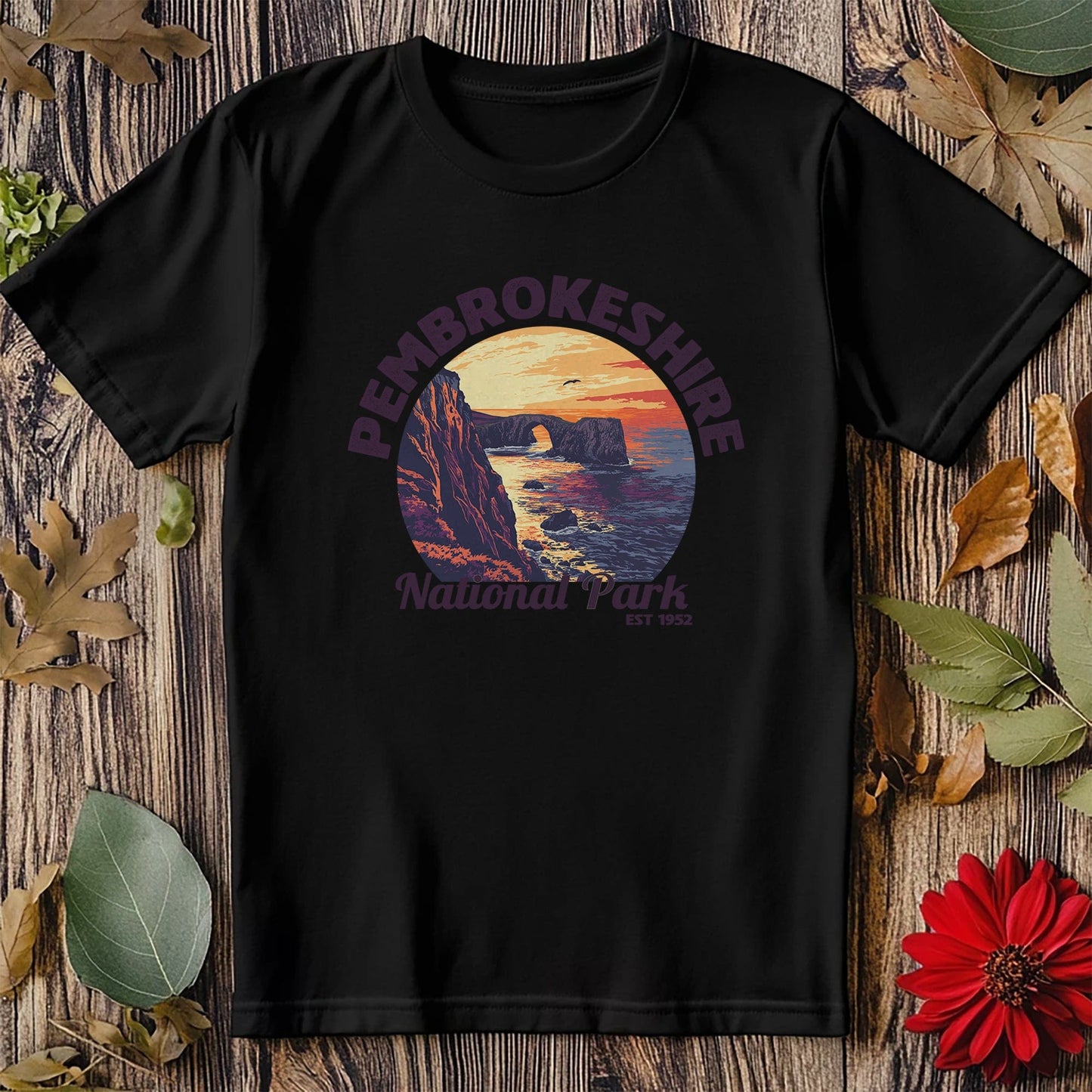 Pembrokeshire V4 T-Shirt