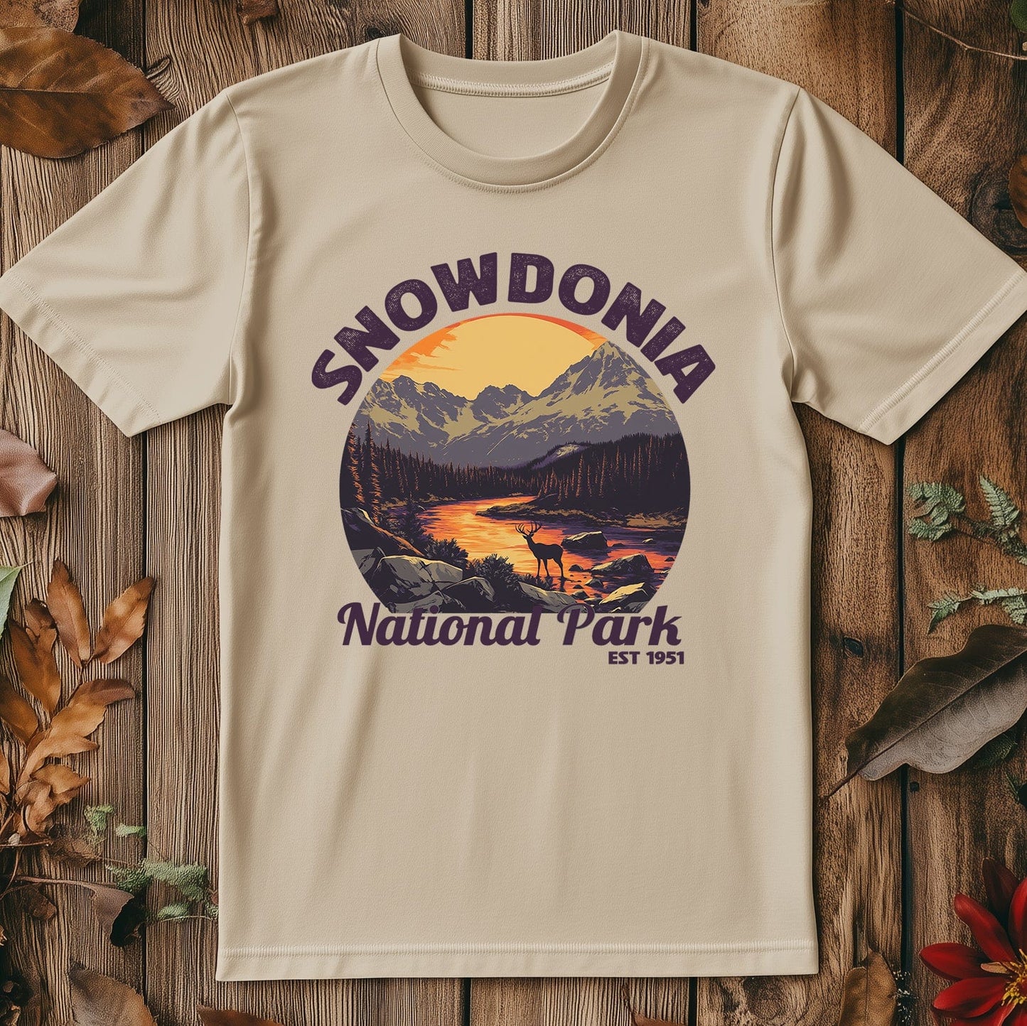 Snowdonia V4 T-Shirt