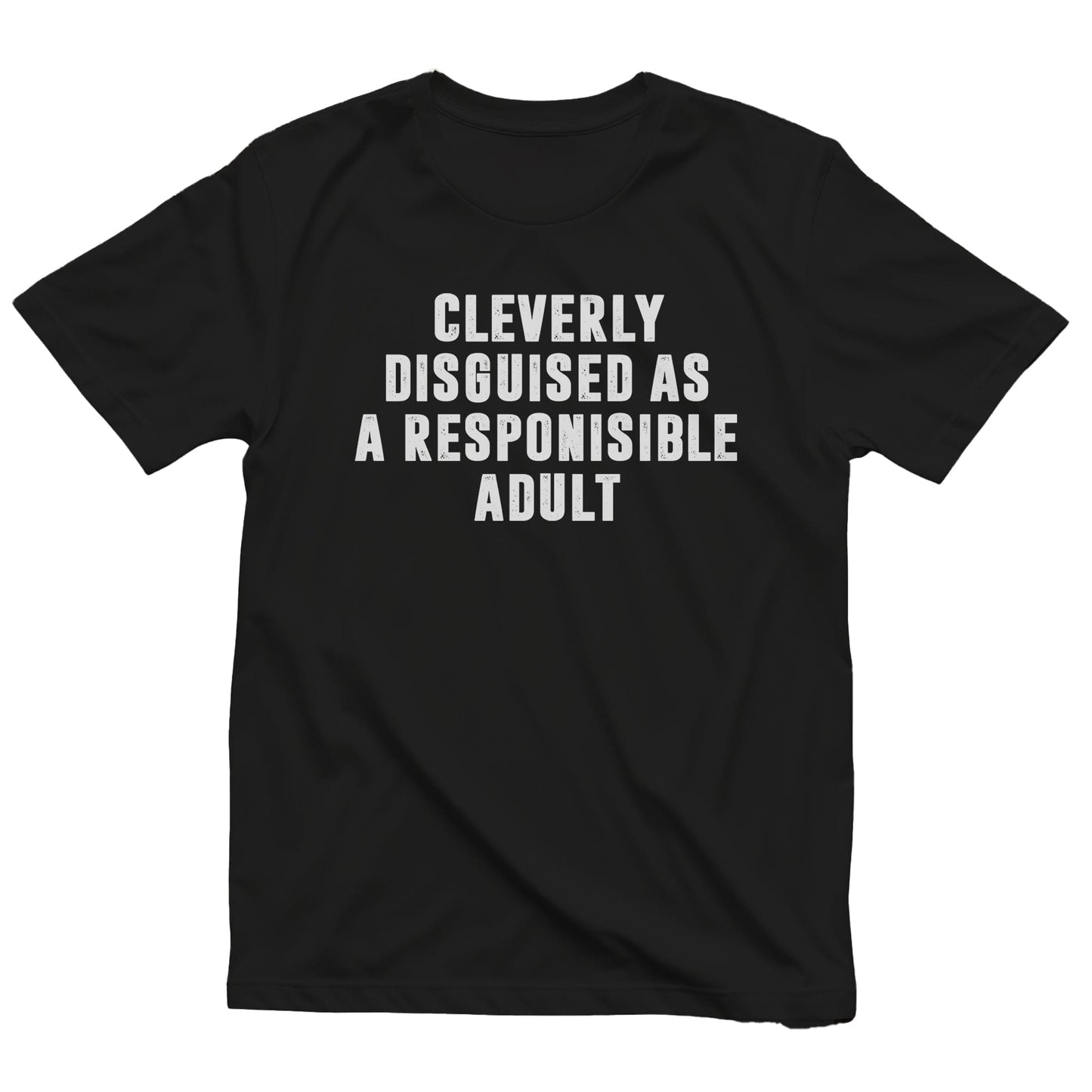 Responsible Adult Level 5 T-shirt