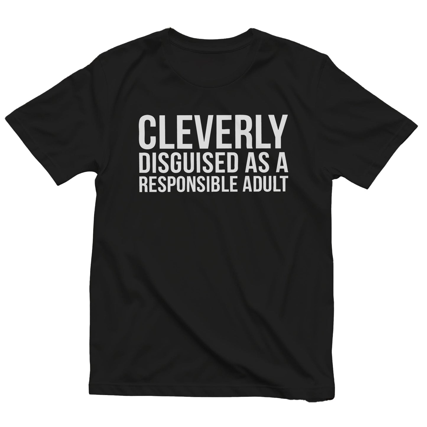 Responsible Adult 2 t-shirt