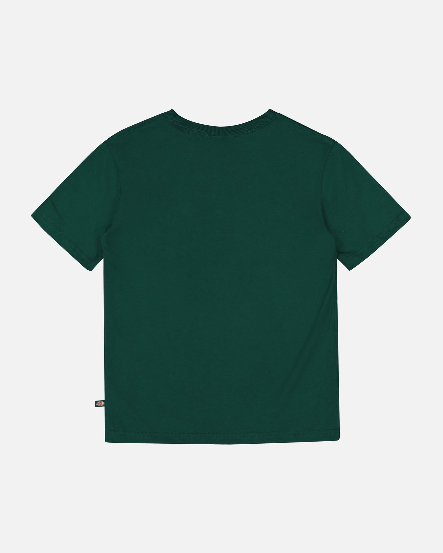 Dickies Kid's Longview T-Shirt Spruce Green