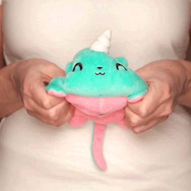 TeeTurtle Reversible Kittencorn & Puppicorn Plushie (Pink + Aqua)