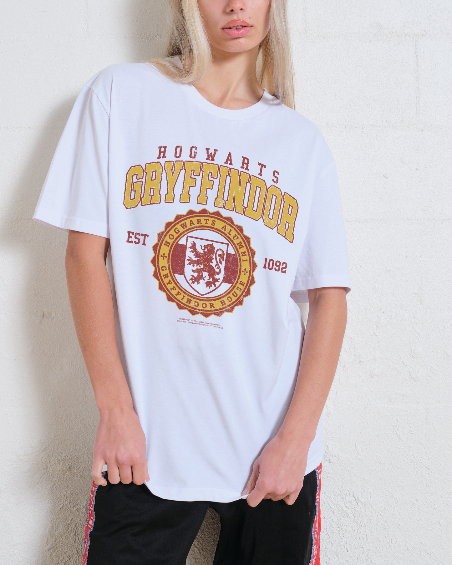 Gryffindor College T-Shirt