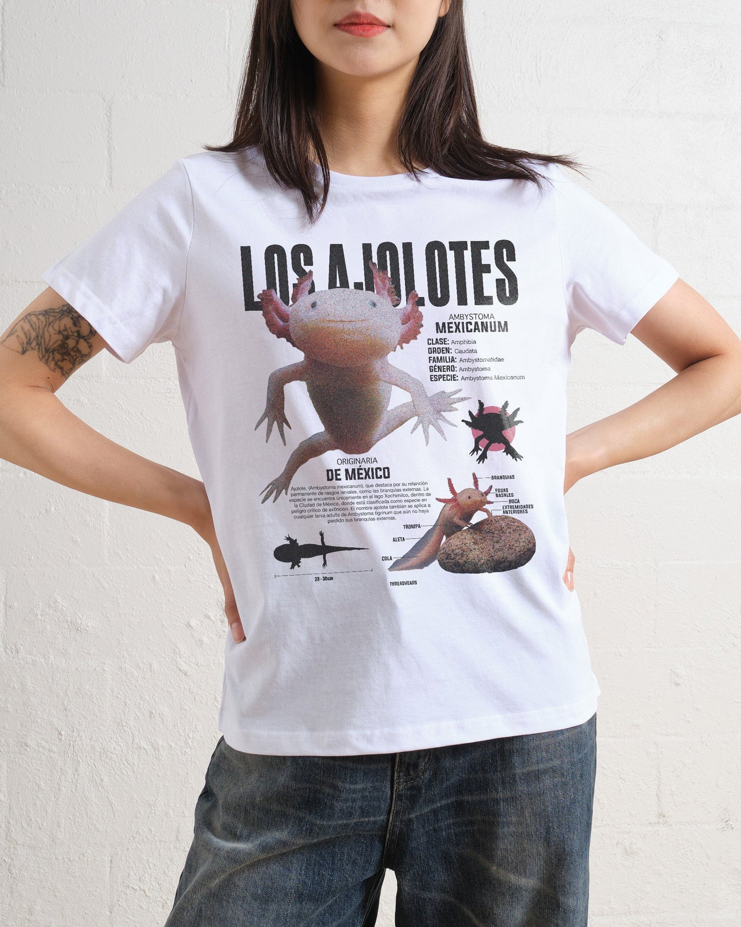 Los Ajolotes Women's Tee