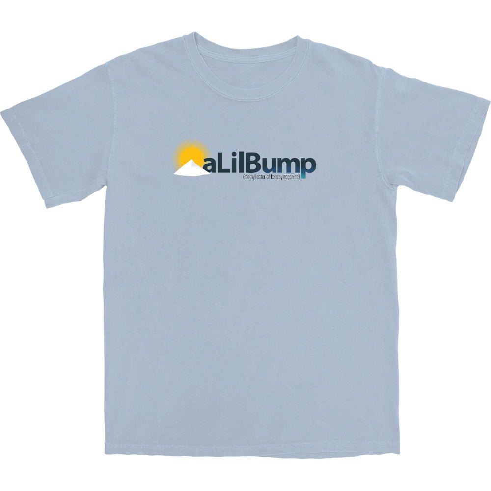 A Lil Bump T Shirt