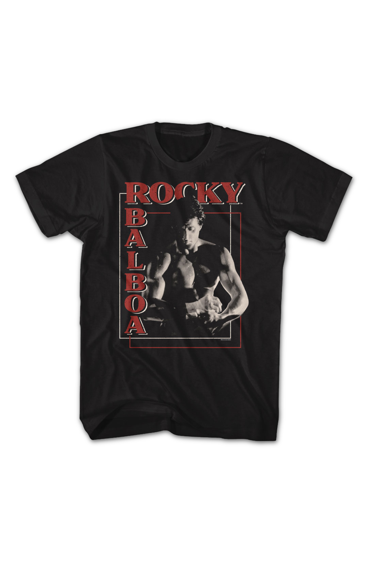Boxer's Boxes Rocky T-Shirt