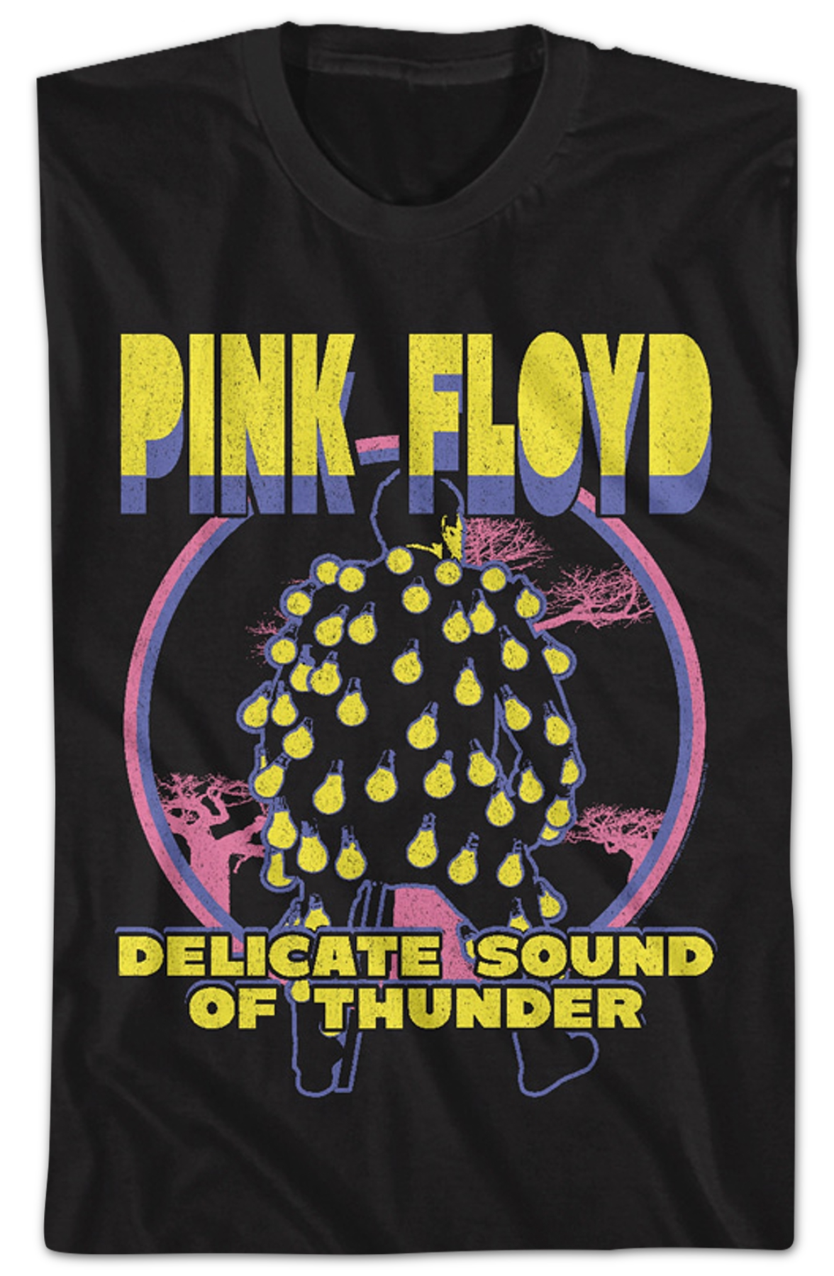 Delicate Sound Of Thunder Pink Floyd T-Shirt