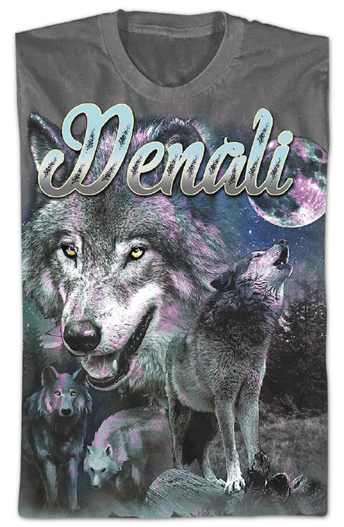 Denali National Park Foundation T-Shirt