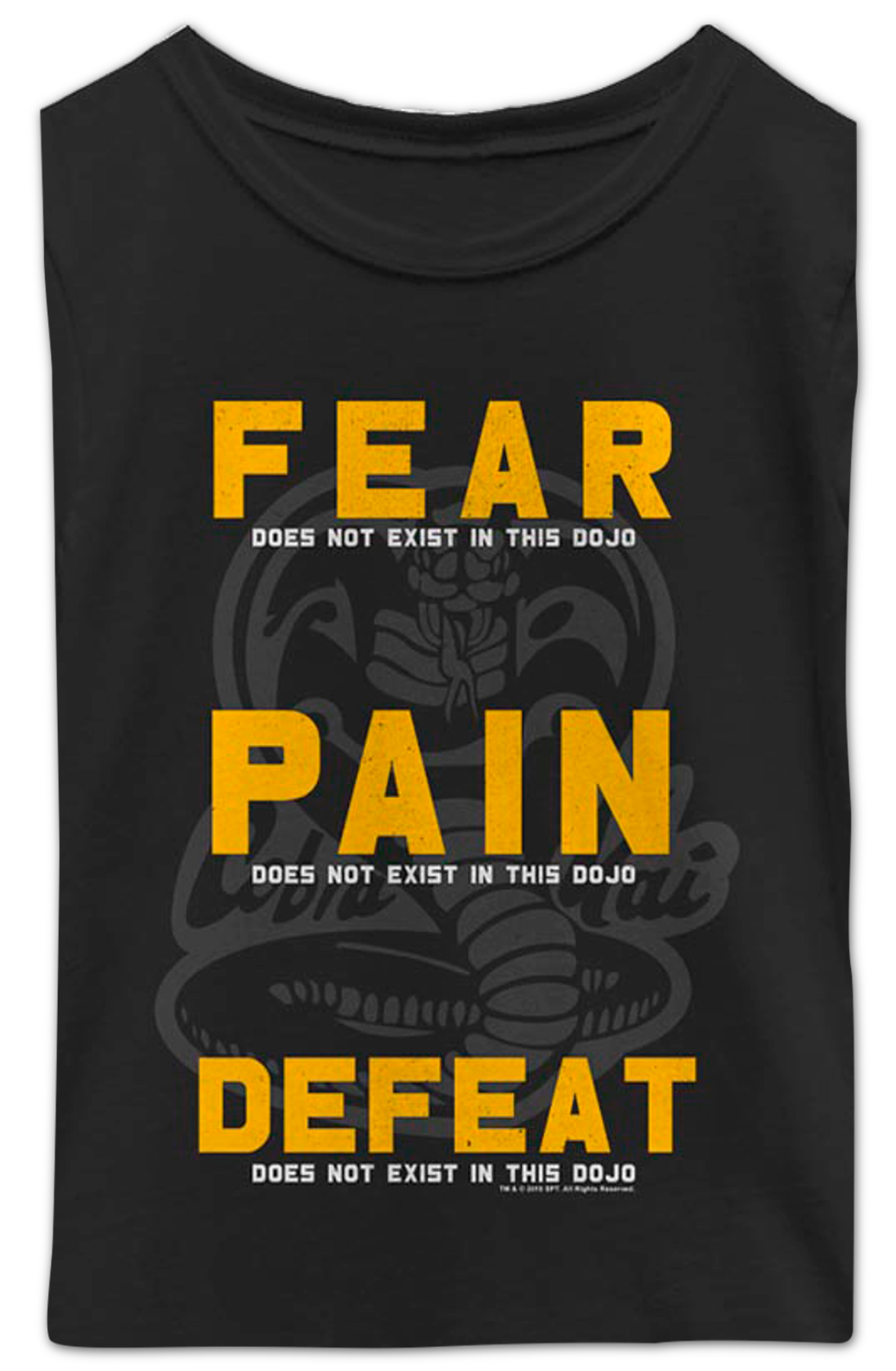 Girls Youth Fear Pain Defeat Do Not Exist In This Dojo Cobra Kai Shirt
