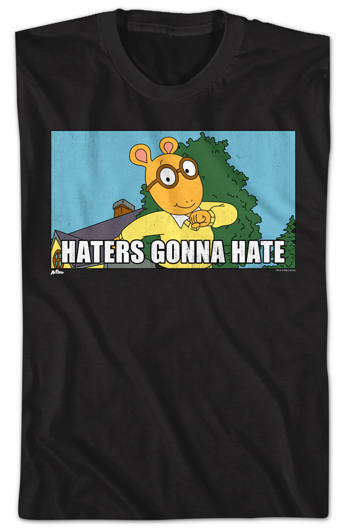 Haters Gonna Hate Arthur T-Shirt