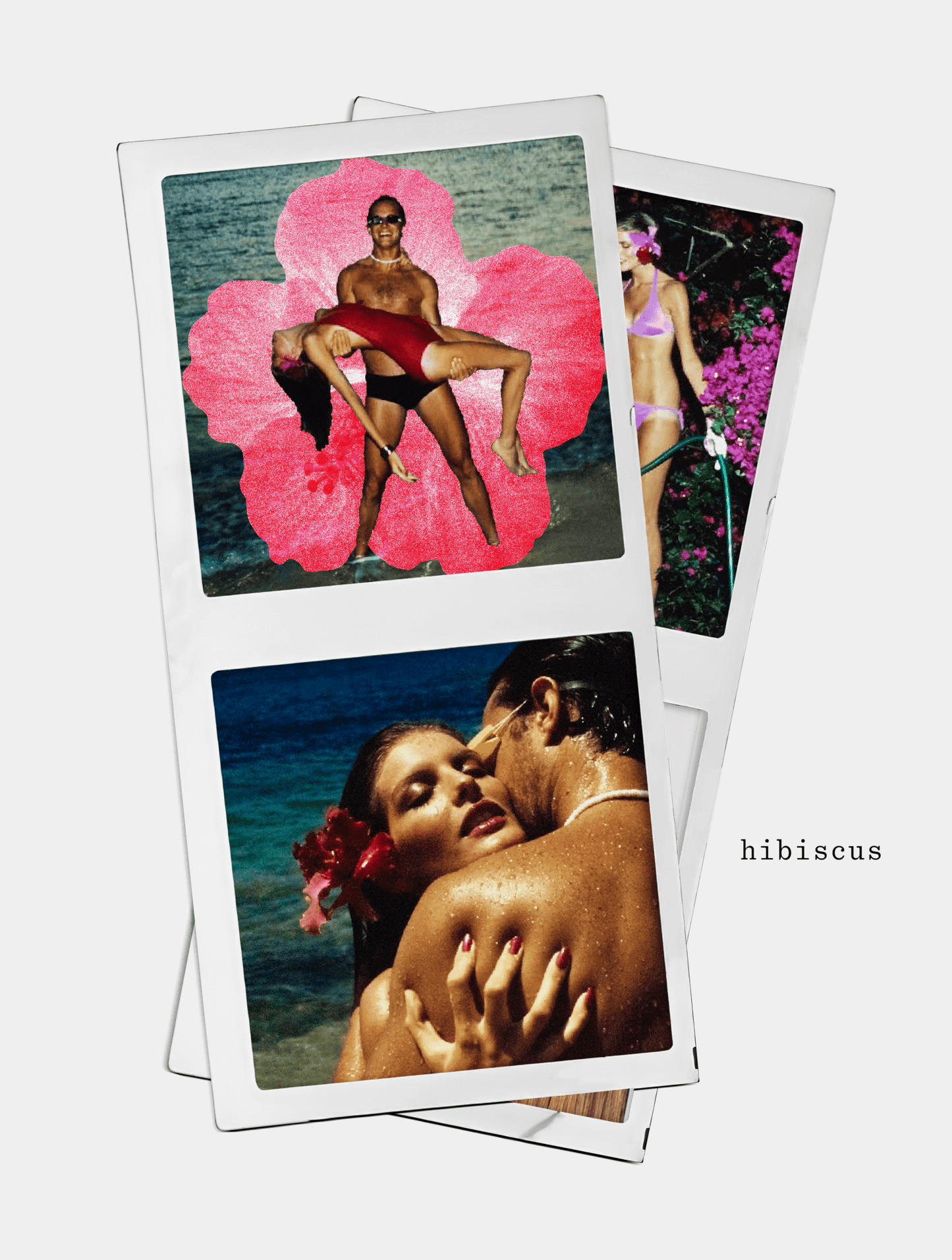 hibiscus baby tee