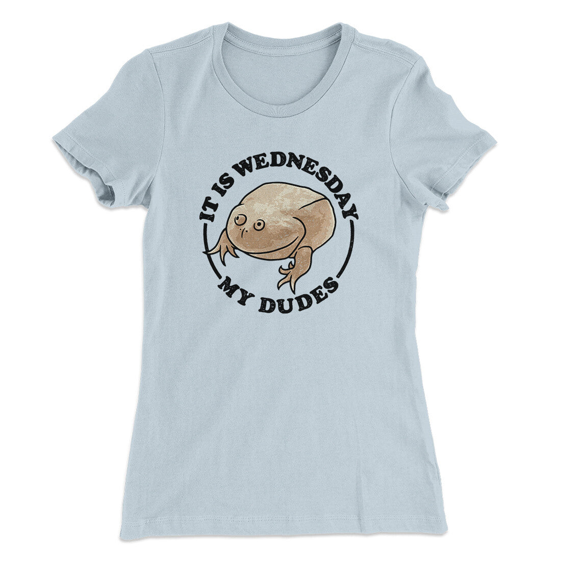 It Is Wednesday My Dudes Women's T-Shirt